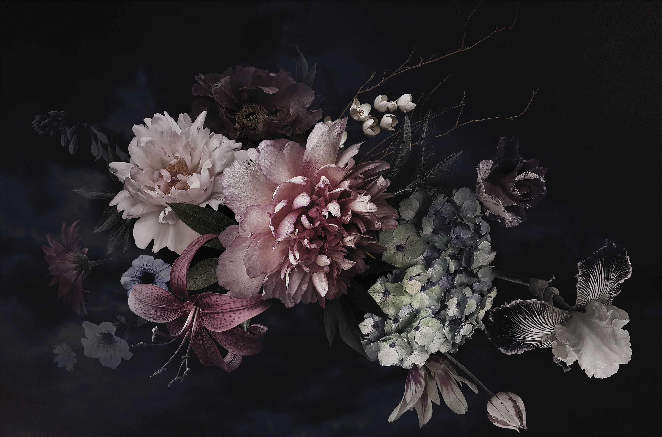 Bönninghoff Leinwandbild "Wandbild BLUMEN 78x118 cm – Leinwandbild Keilrahmen Deko modern" Blumen Blumenbilder Orchidee 1 Stk. tlg. auf Keilrahmen gespannt