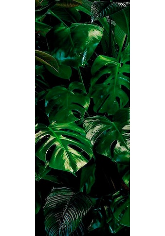 Komar Vliestapete »Tropical Wall Panel« 100x...