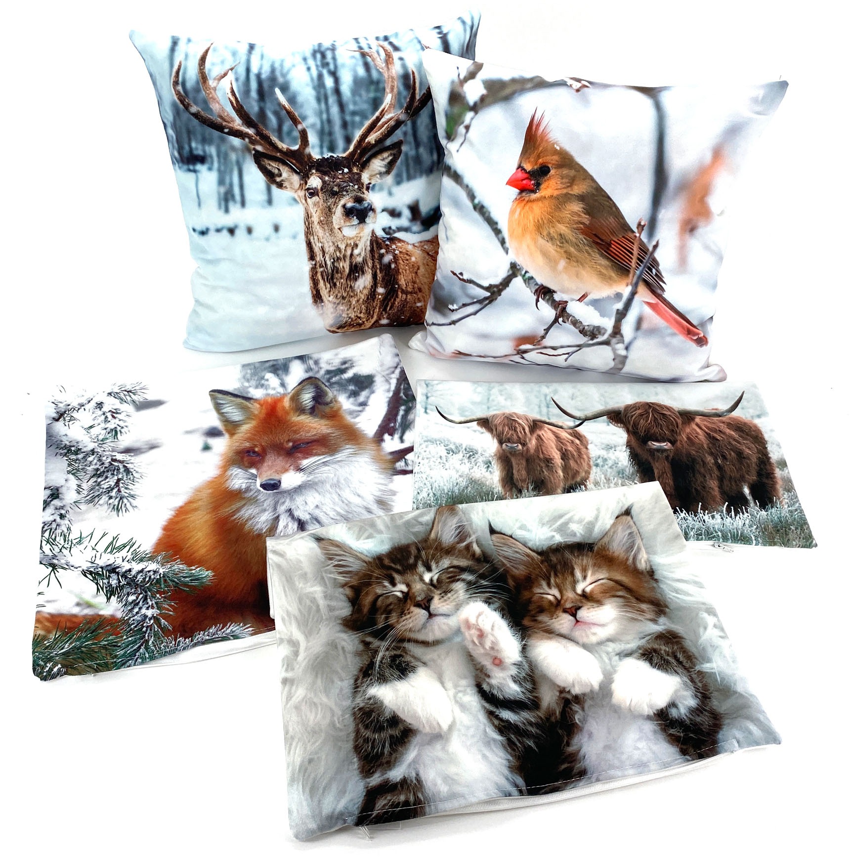 Weckbrodt Dekokissen "Katzen" Kissenhülle ohne Füllung, 1 Stück günstig online kaufen