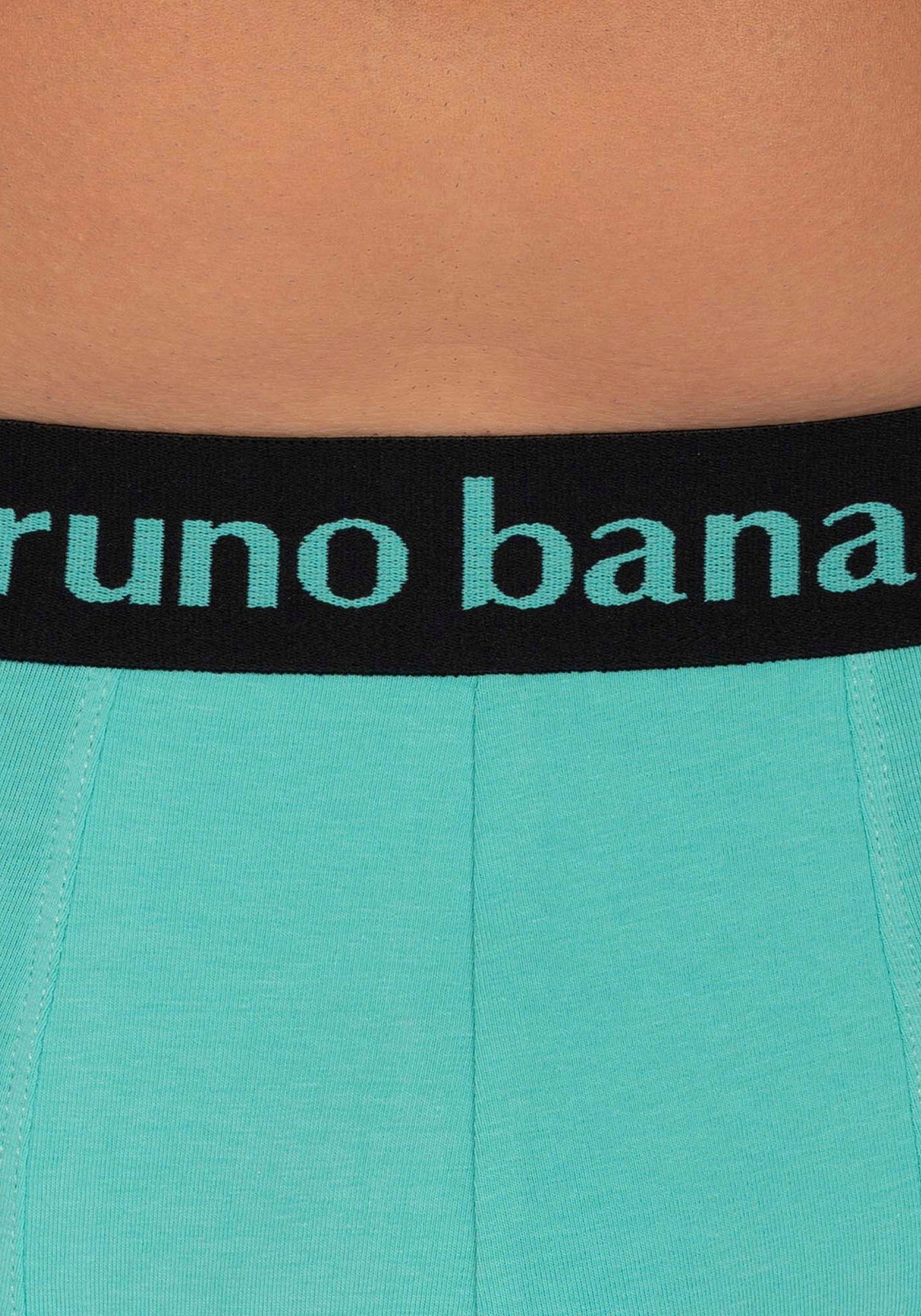 Bruno Banani Boxer, (2er Pack), mit kontrastreichem Logobund