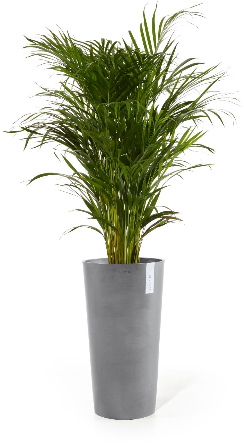 ECOPOTS Blumentopf »AMSTERDAM MID HIGH Grey« BxTxH: 34x34x66 cm
