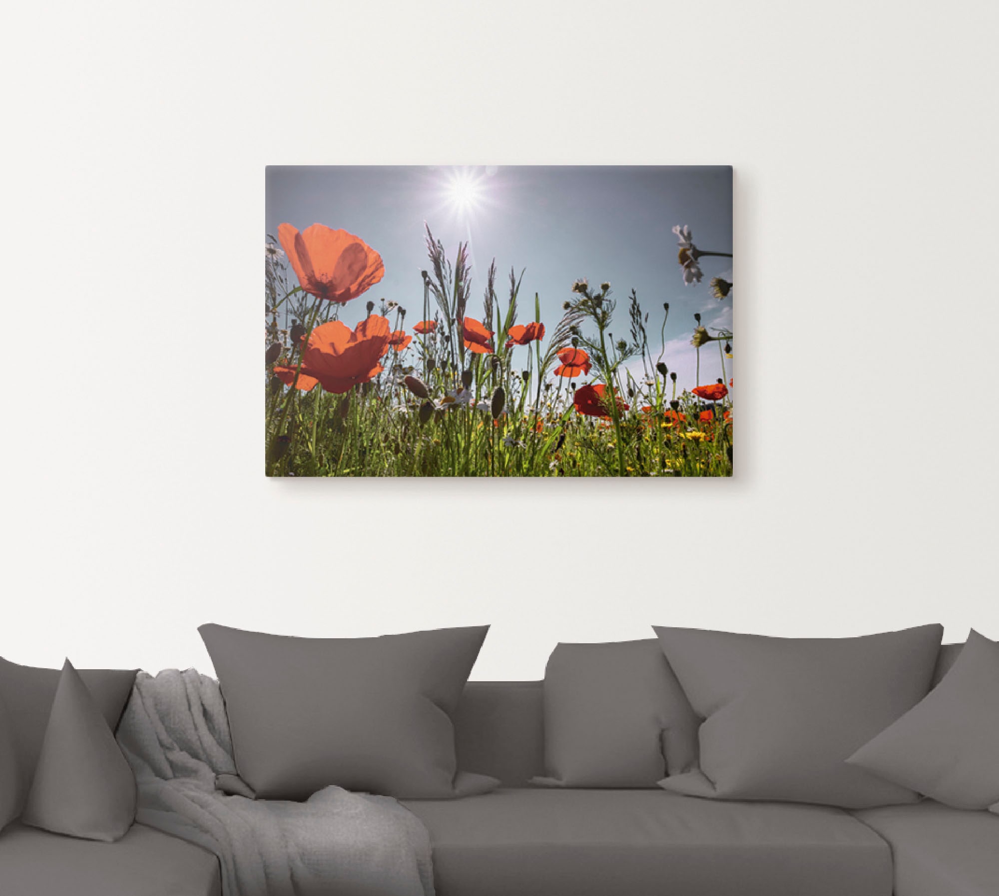 Artland Wandbild »Mohnblumenwiese«, Blumenwiese, (1 St.), als Alubild, Outdoorbild, Leinwandbild, Poster in verschied. Größen