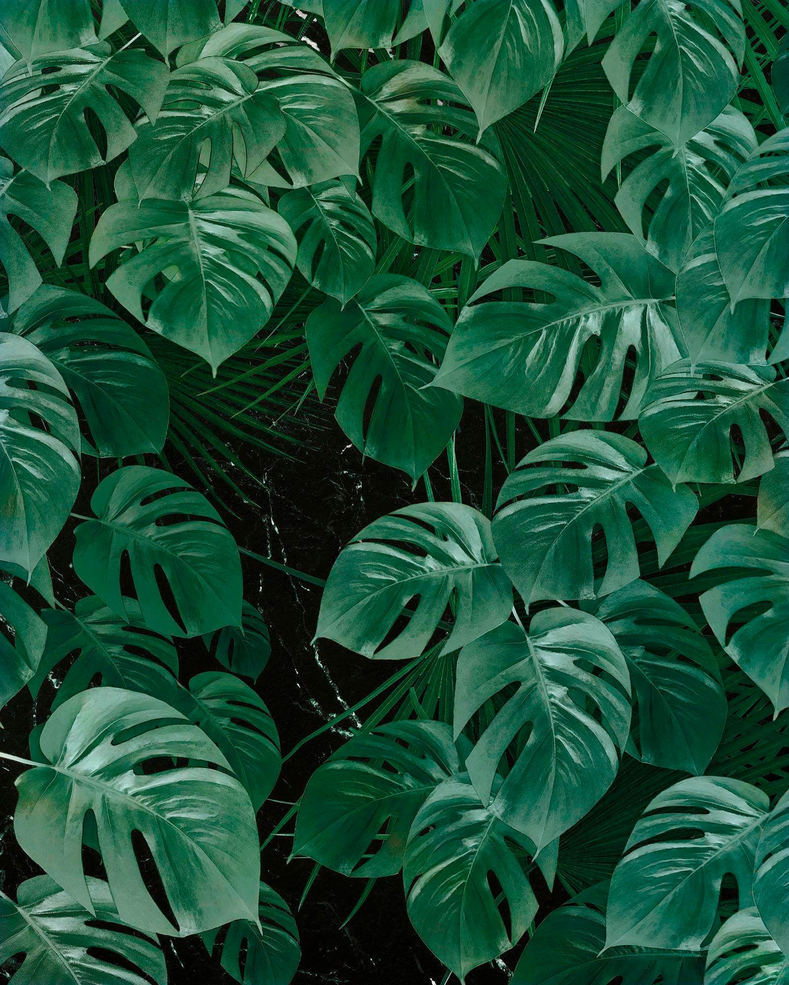 Komar Vliestapete "Digitaldruck Vlies - Monstera on Marble - Größe 200 x 250 cm", bedruckt, Wohnzimmer, Schlafzimmer