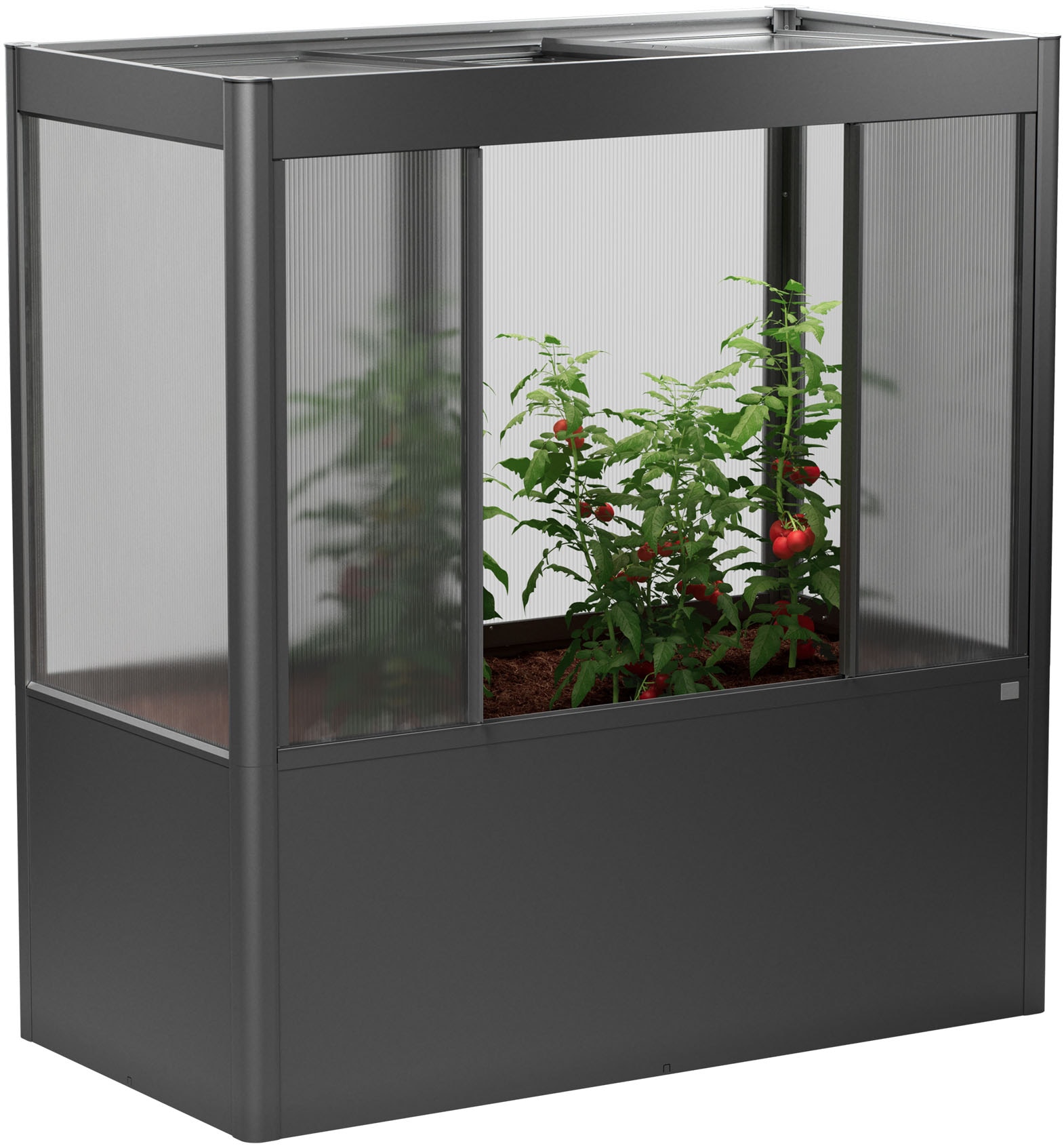 Biohort Gewächshaus "Florentina Gr. 2x1 MAXI, verschiedene Farben" Kompakte günstig online kaufen