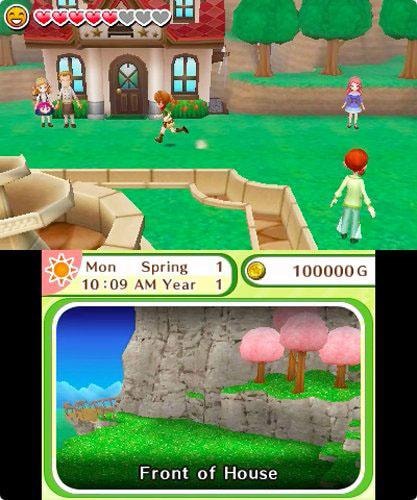 Rising Star Spielesoftware »Harvest Moon: Dorf des Himmelbaumes«, Nintendo 3DS, Software Pyramide