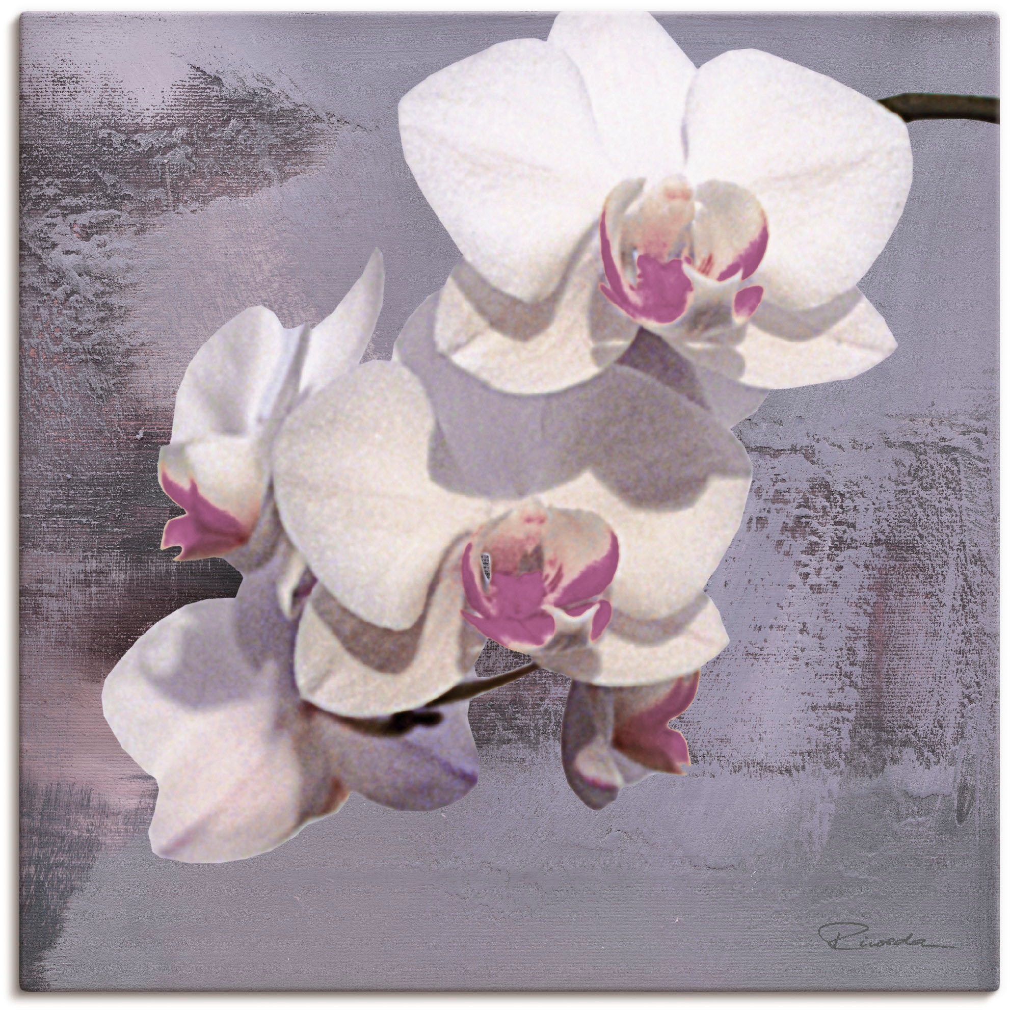 Artland Wandbild Alubild, Größen Blumen, Poster BAUR vor Wandaufkleber | »Orchideen als Leinwandbild, oder II«, in bestellen (1 Violett versch. St.)