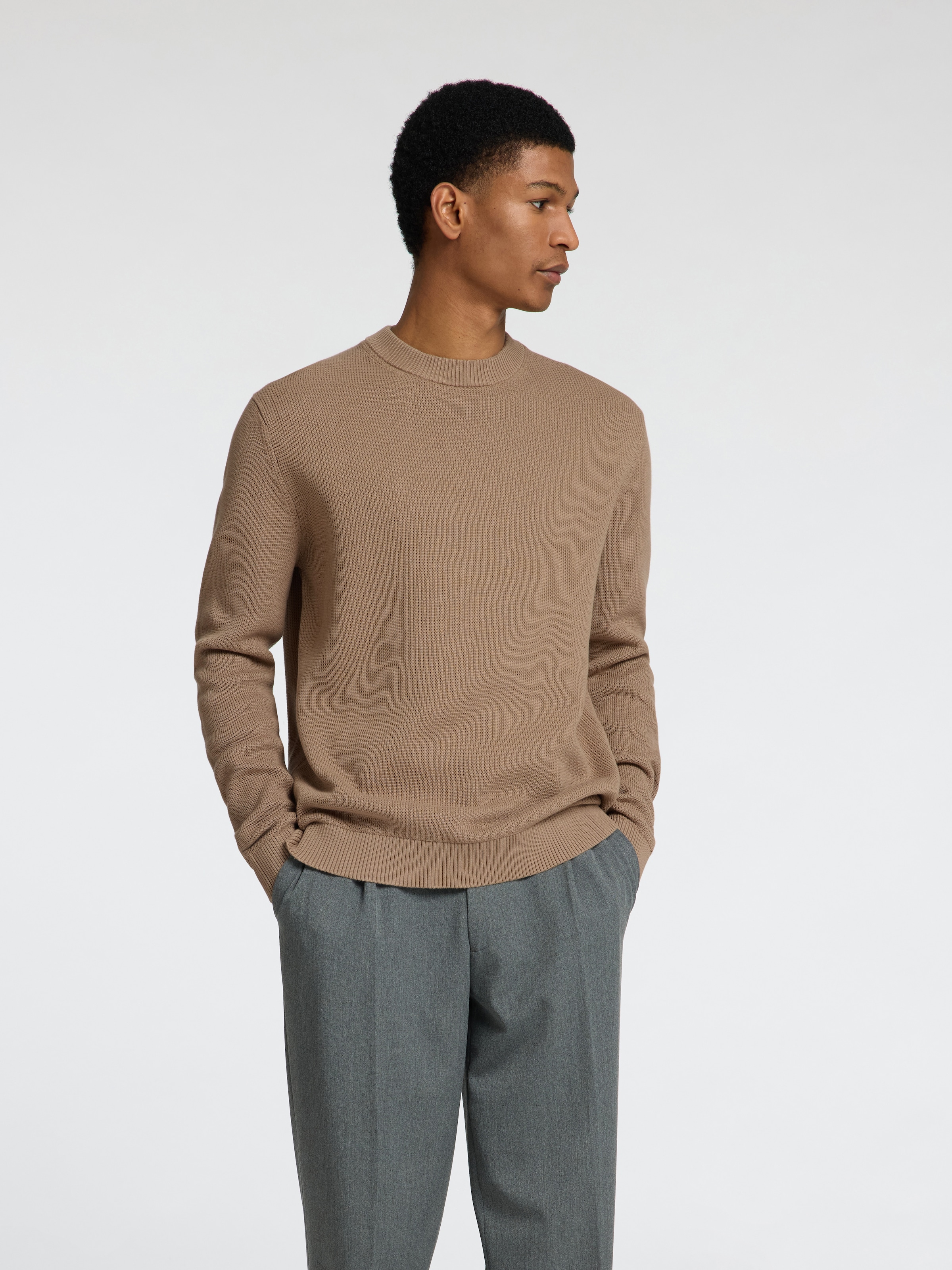 SELECTED HOMME Rundhalspullover "SLHDANE LS KNIT STRUCTURE CREW NECK NOOS" günstig online kaufen