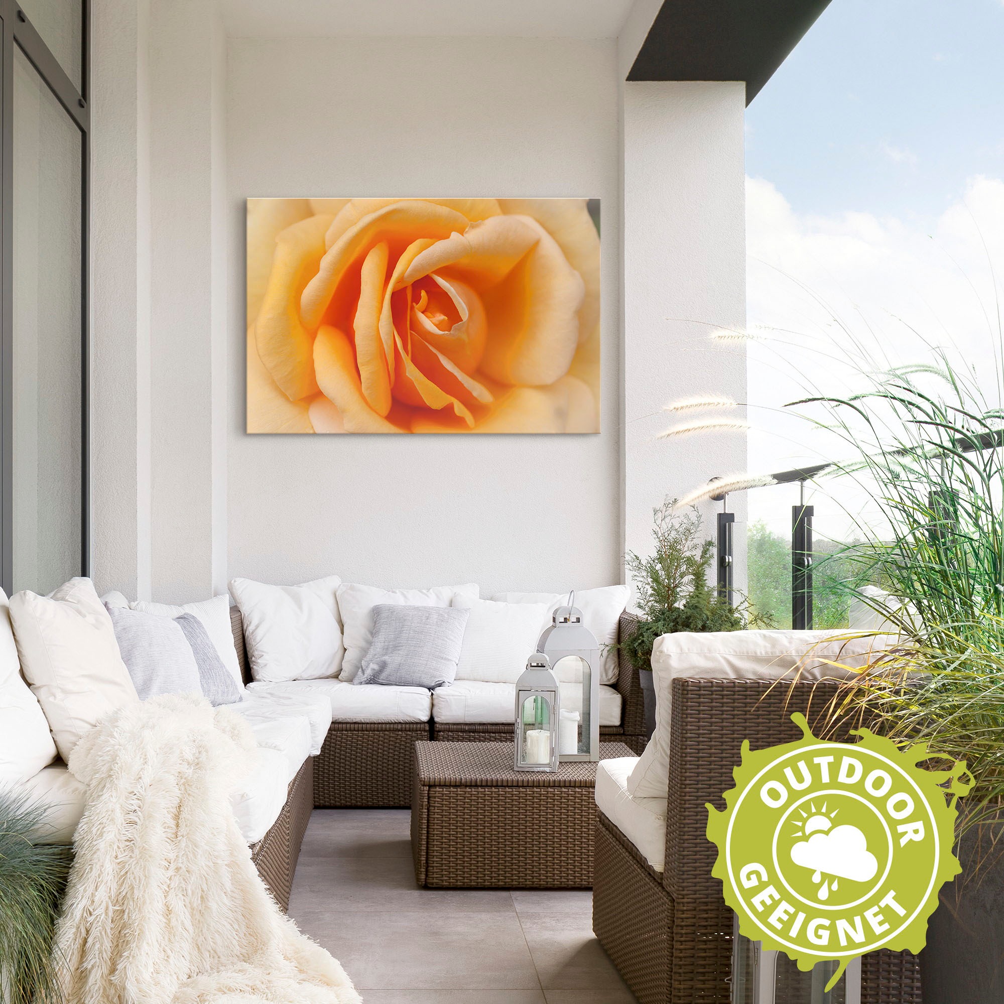 Artland Wandbild »Zarte Rose | (1 in Alubild, in als Leinwandbild, Wandaufkleber Größen bestellen versch. oder BAUR St.), Poster Orange«, Blumenbilder