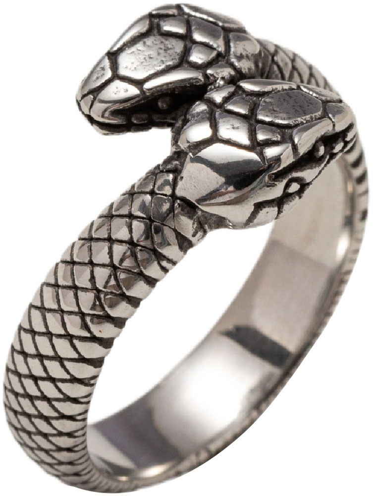 Firetti Fingerring »Schmuck Geschenk Edelstahl Ring Damenring Herrenring Schlange«, Made in Germany