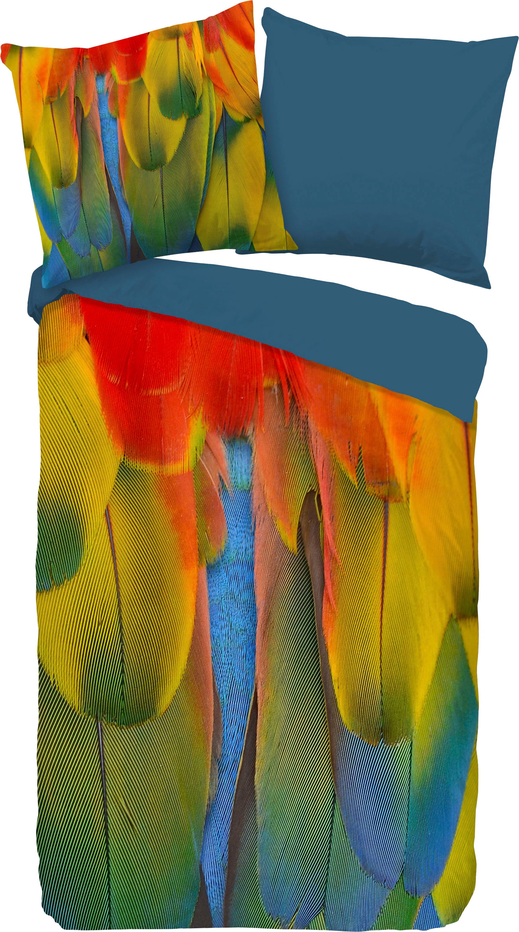 PURE luxury collection Wendebettwäsche »Rainbowfeathers«, (2 tlg.), mit Federn kaufen