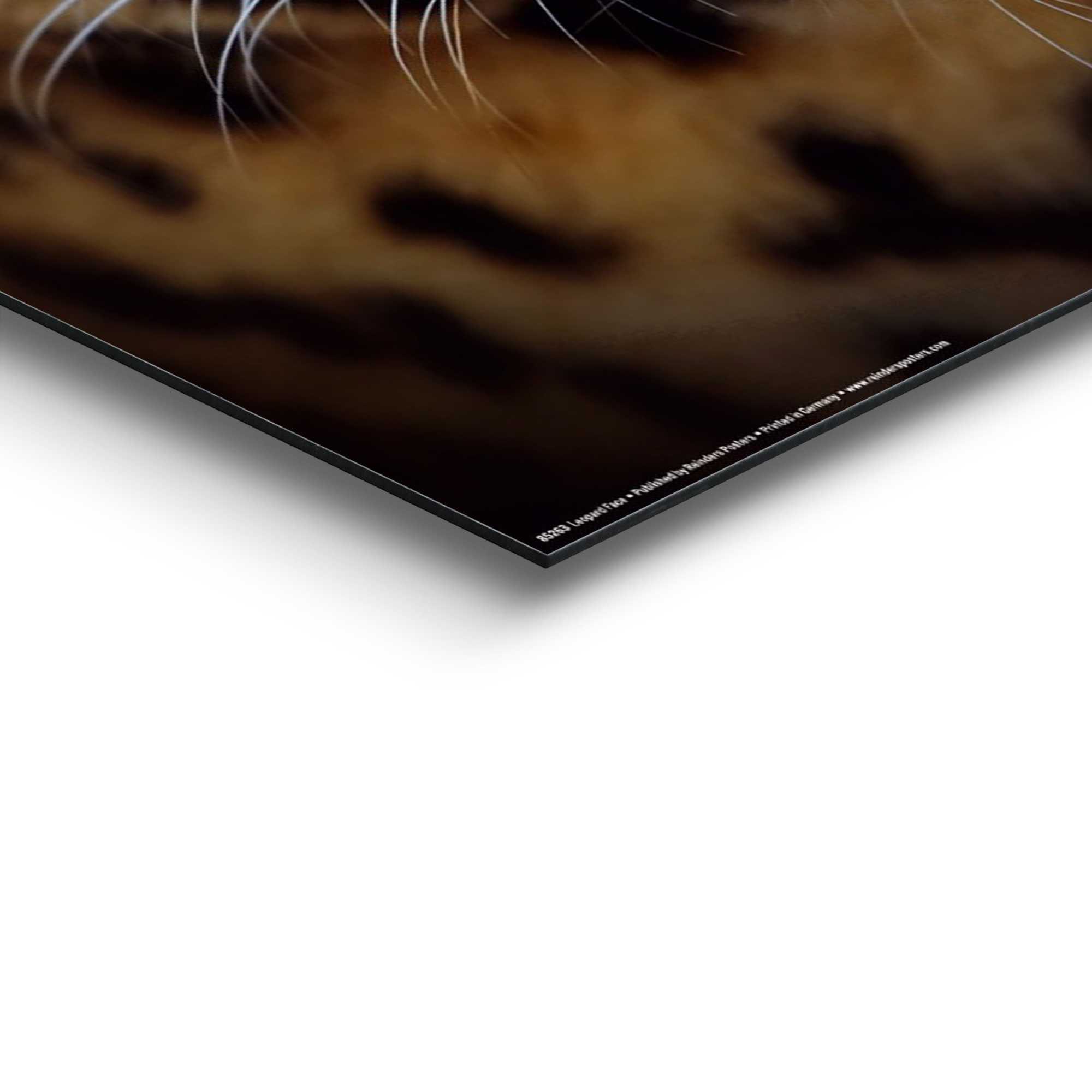 Thumbnail - Reinders Wandbild "Wandbild Leopard Kräftig - Panther - Raubetier - Gefleckt" Leopard 1 Stk. tlg.