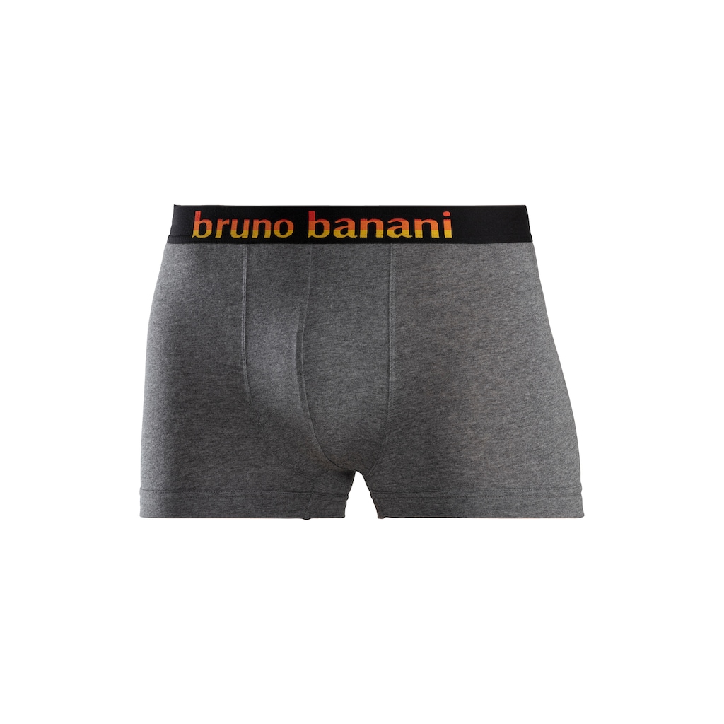 Bruno Banani Boxer, (Packung, 5 St.), mit Streifen Logo Webbund