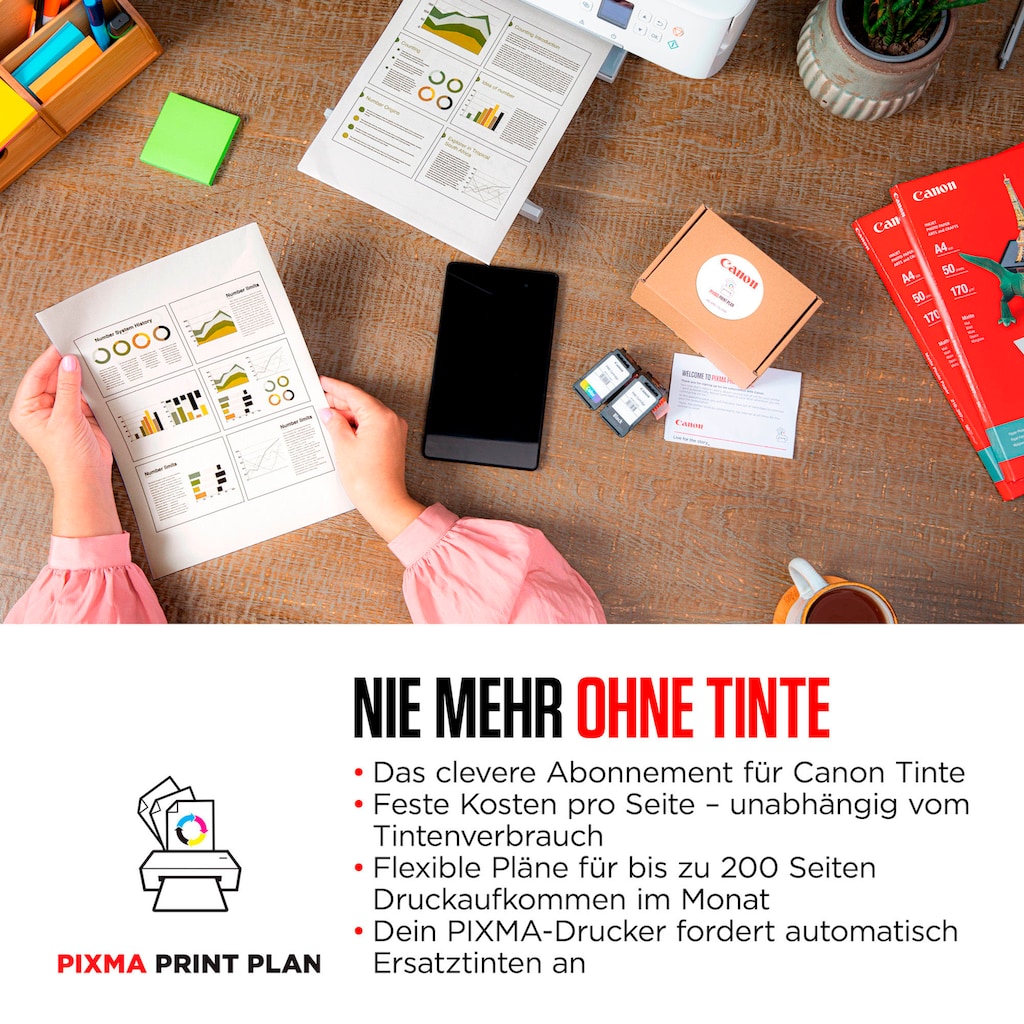 Canon Multifunktionsdrucker »PIXMA TR4751i«