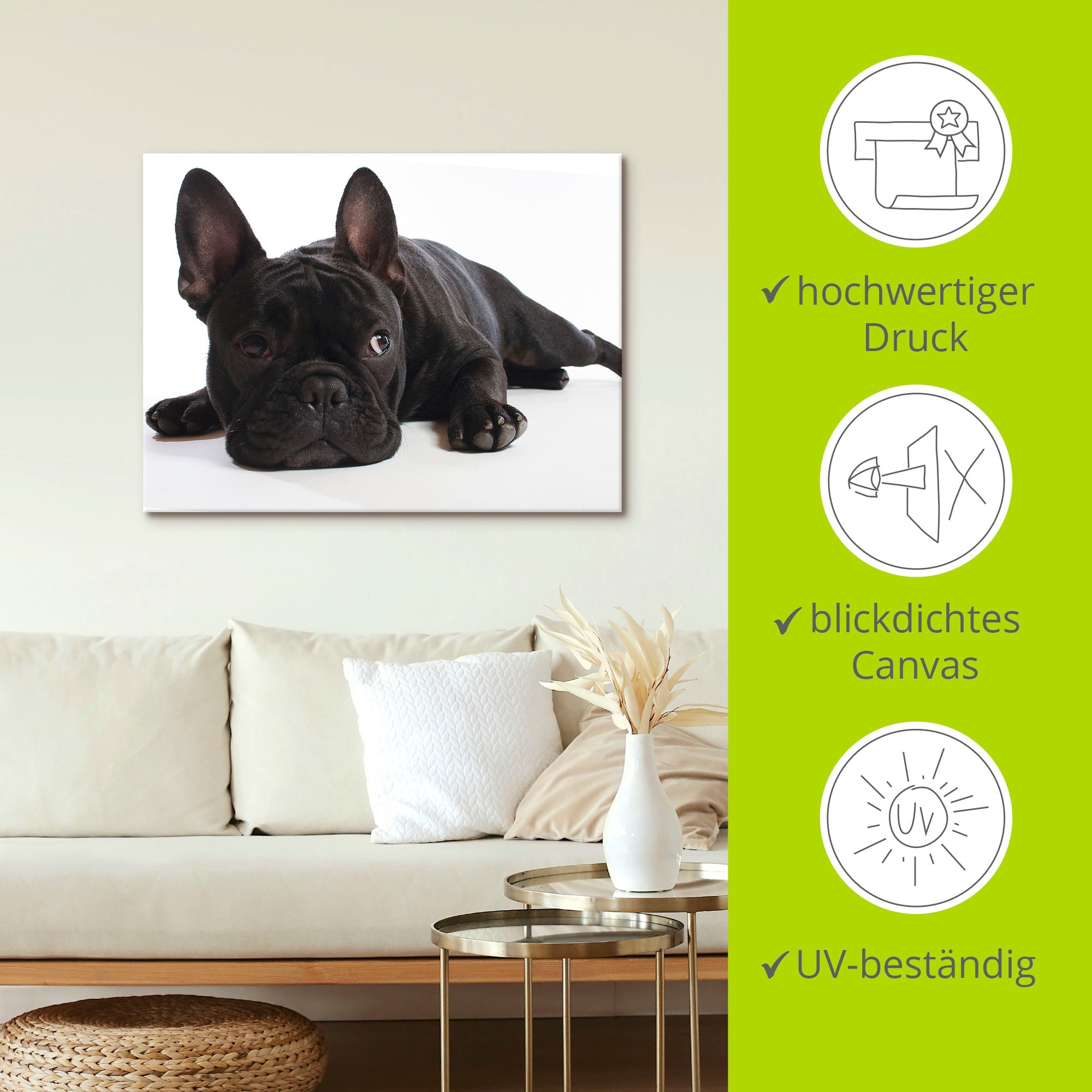 Artland Wandbild »Bulldogge«, Haustiere, (1 St.), als Alubild, Outdoorbild, Leinwandbild, Wandaufkleber, versch. Größen