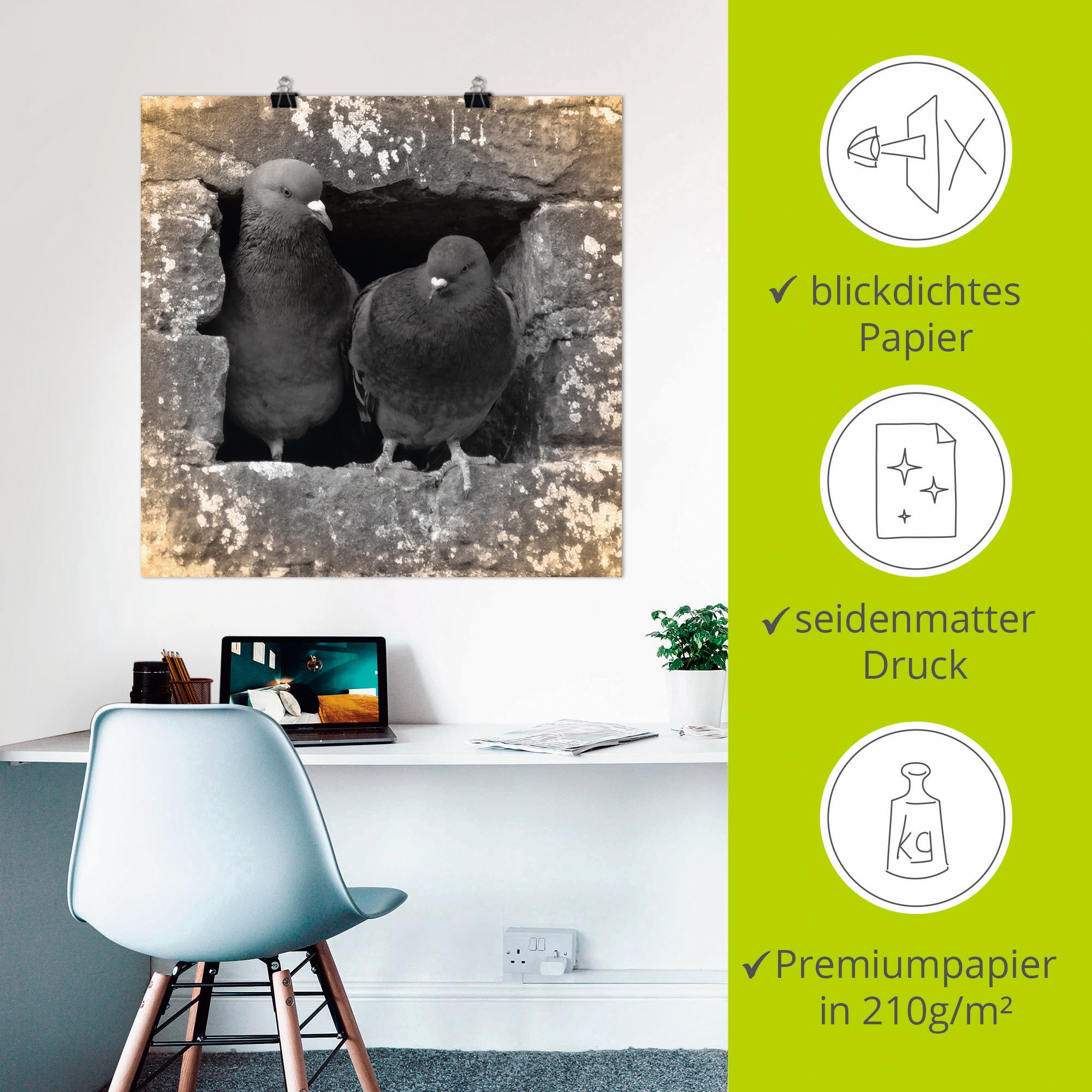 Artland »Tauben Liebe« Vögel 1 Stk. tlg. als Alubild, Poster in verschied. Größen