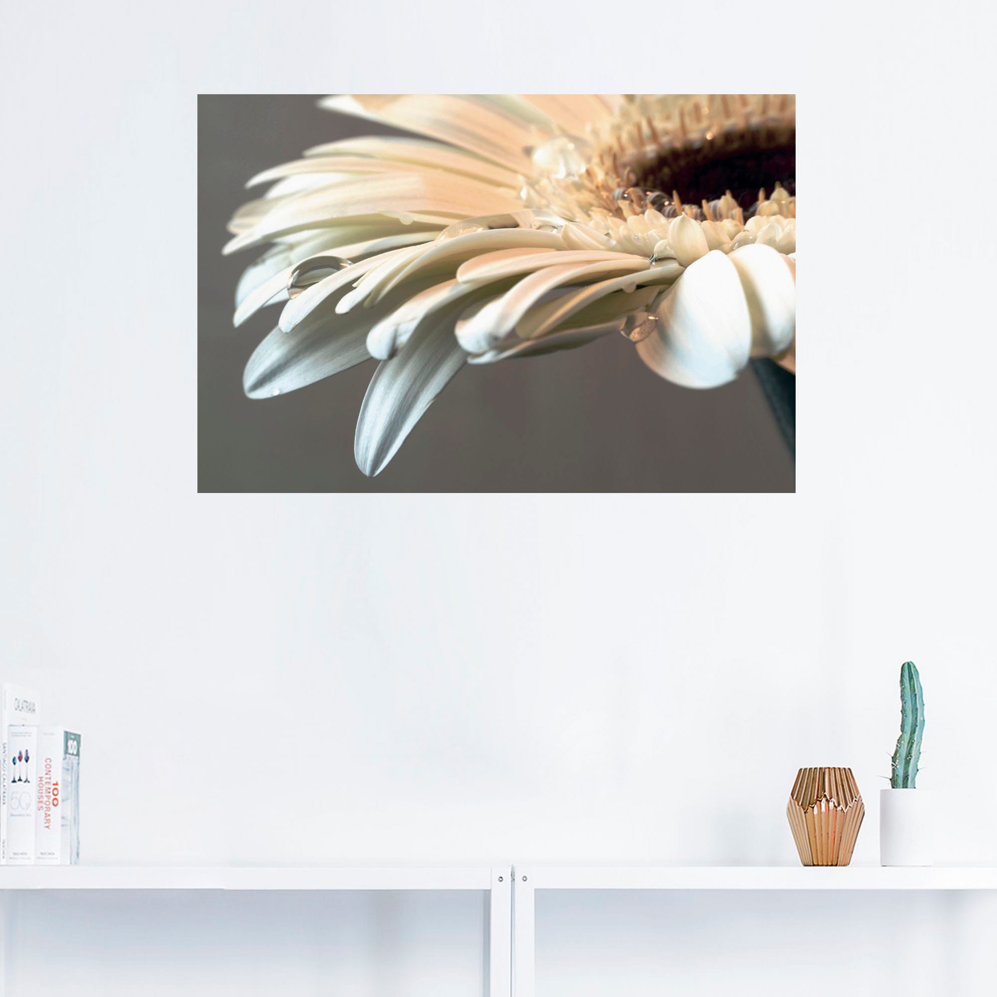 Artland Wandbild »Blüte einer Gerbera«, Blumen, (1 St.), als Alubild,  Leinwandbild, Wandaufkleber oder Poster in versch. Größen bestellen | BAUR