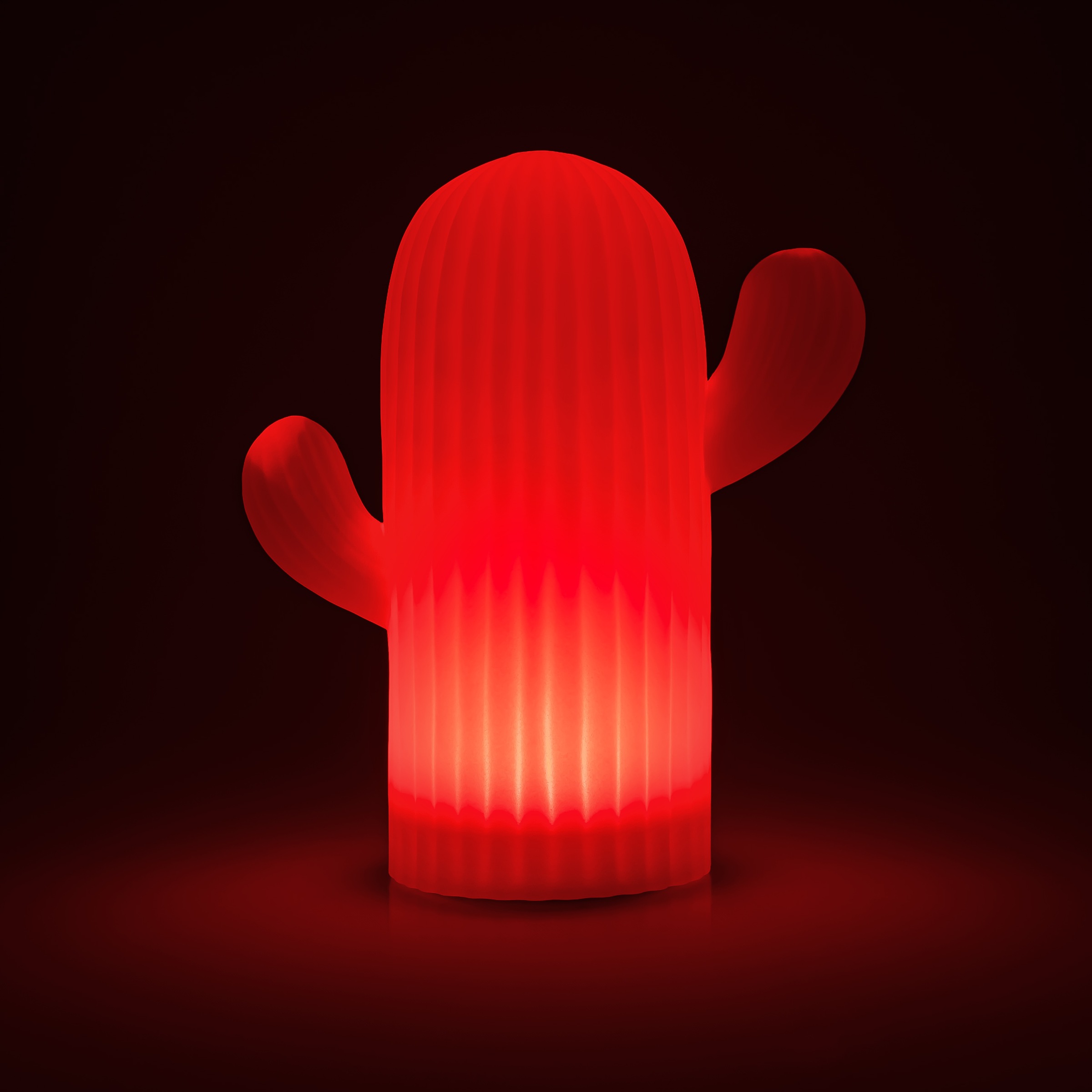 my home LED Solarleuchte "Elowyn, LED-Solar Kaktus" LED-Modul 1 Stk. RGB  W günstig online kaufen