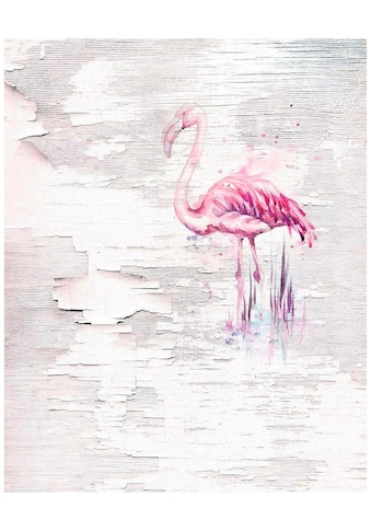 Komar Vliestapete »Pink Flamingo« 200x250 cm...