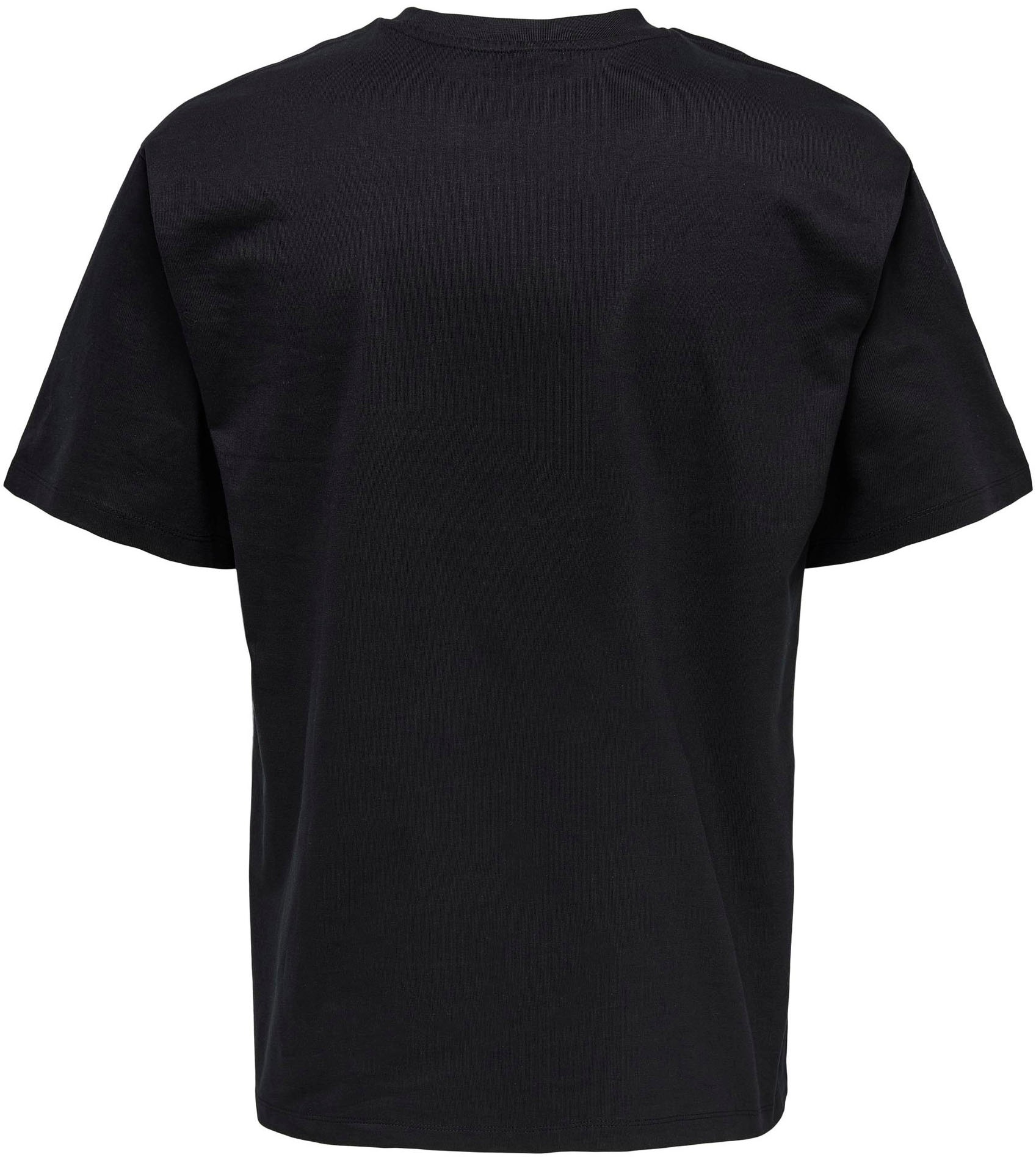 ONLY & SONS T-Shirt »ONSFRED LIFE RLX SS TEE NOOS«