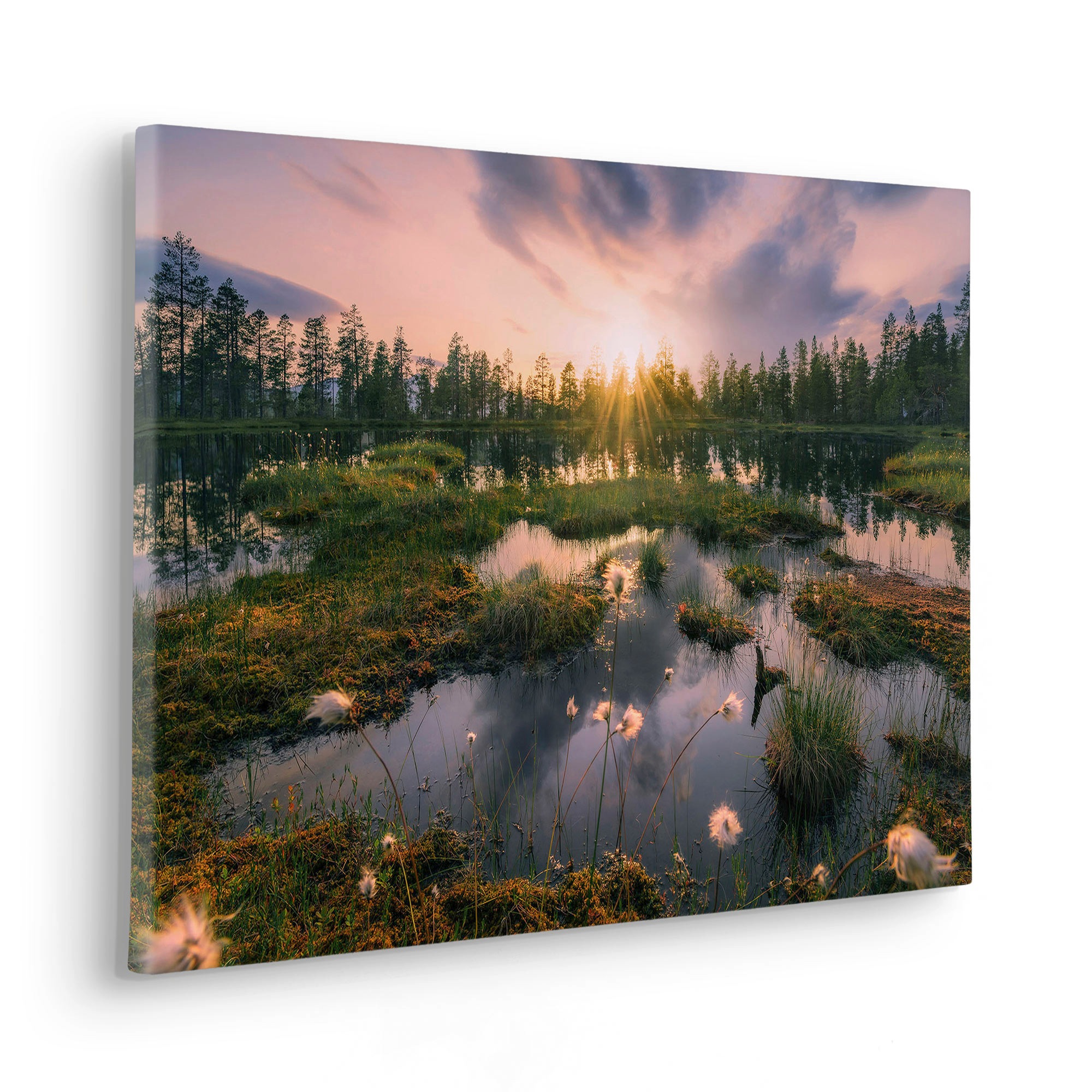 Komar Leinwandbild "Gloomy Swamps - Größe 60 x 40 cm", Baum-Blätter-Natur-B günstig online kaufen