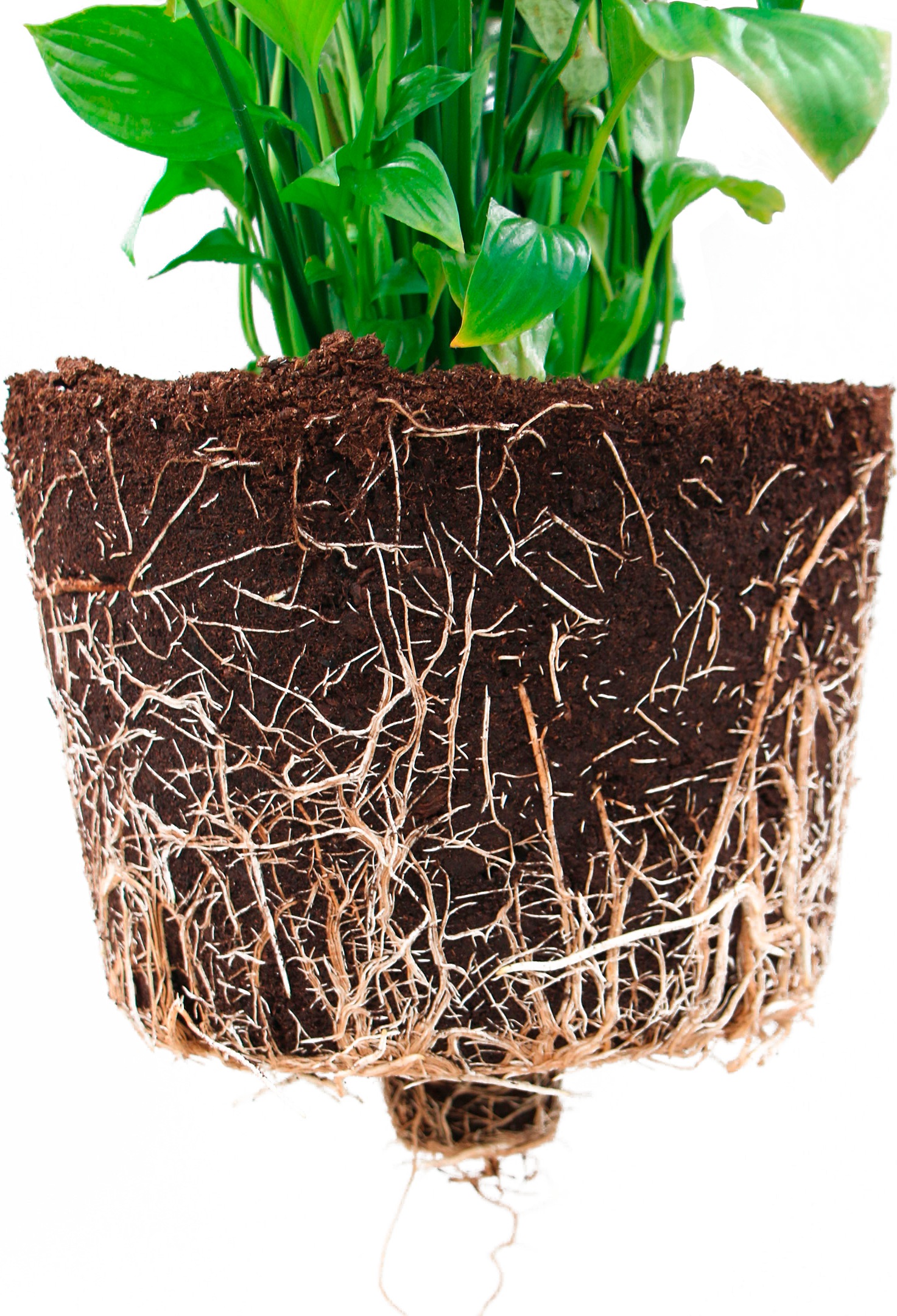 ECOPOTS Blumentopf »Frankfurt 30 Weißgrau«, für innen und außen: frostsicher, bruchsicher und lichtbeständig