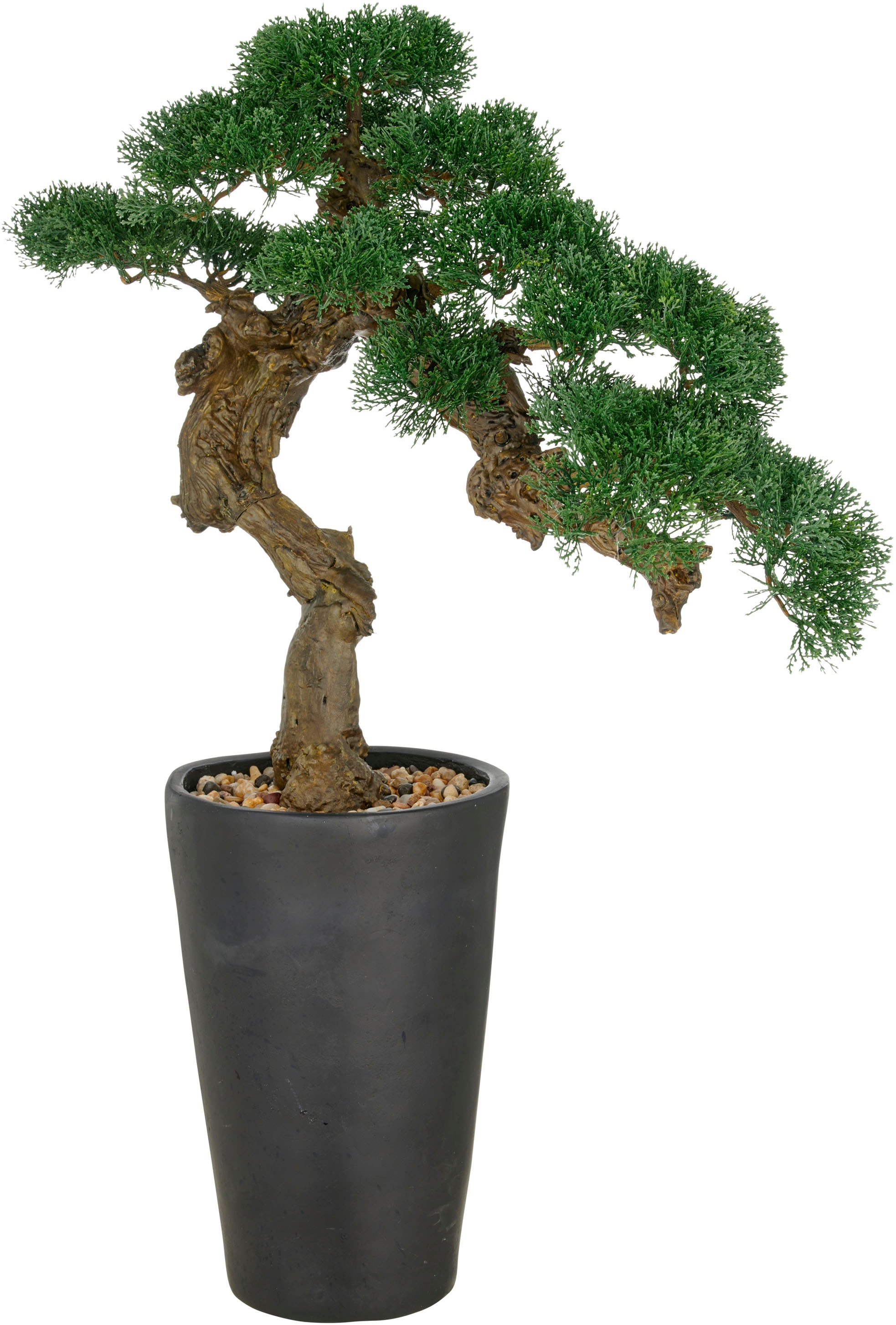 Creativ green Kunstbonsai "Bonsai Zeder", im besonderen Pflanzgefäß günstig online kaufen