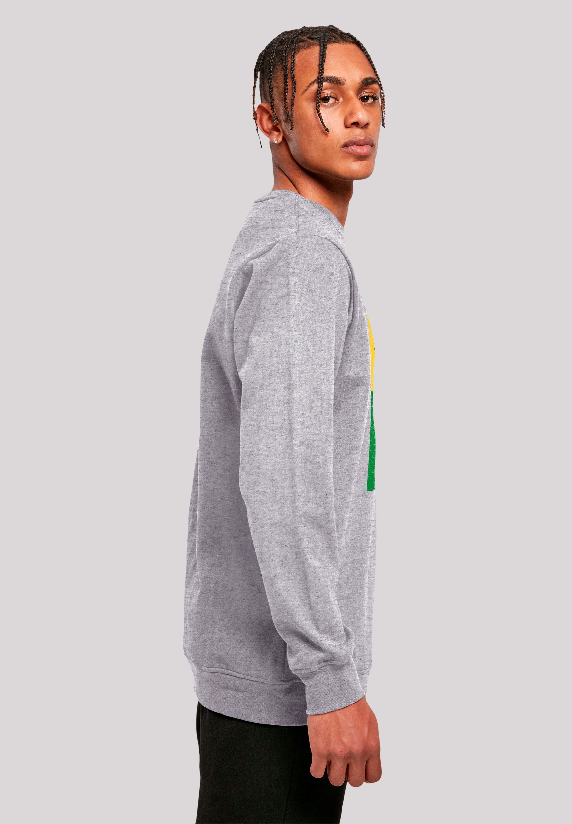 F4NT4STIC Sweatshirt »Sex Education Blur Cover Netflix TV Series«, Premium Qualität