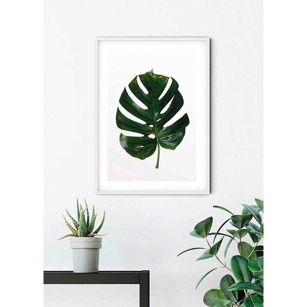 Komar Poster »Monstera Leaf«, Pflanzen-Blätter, (1 St.)