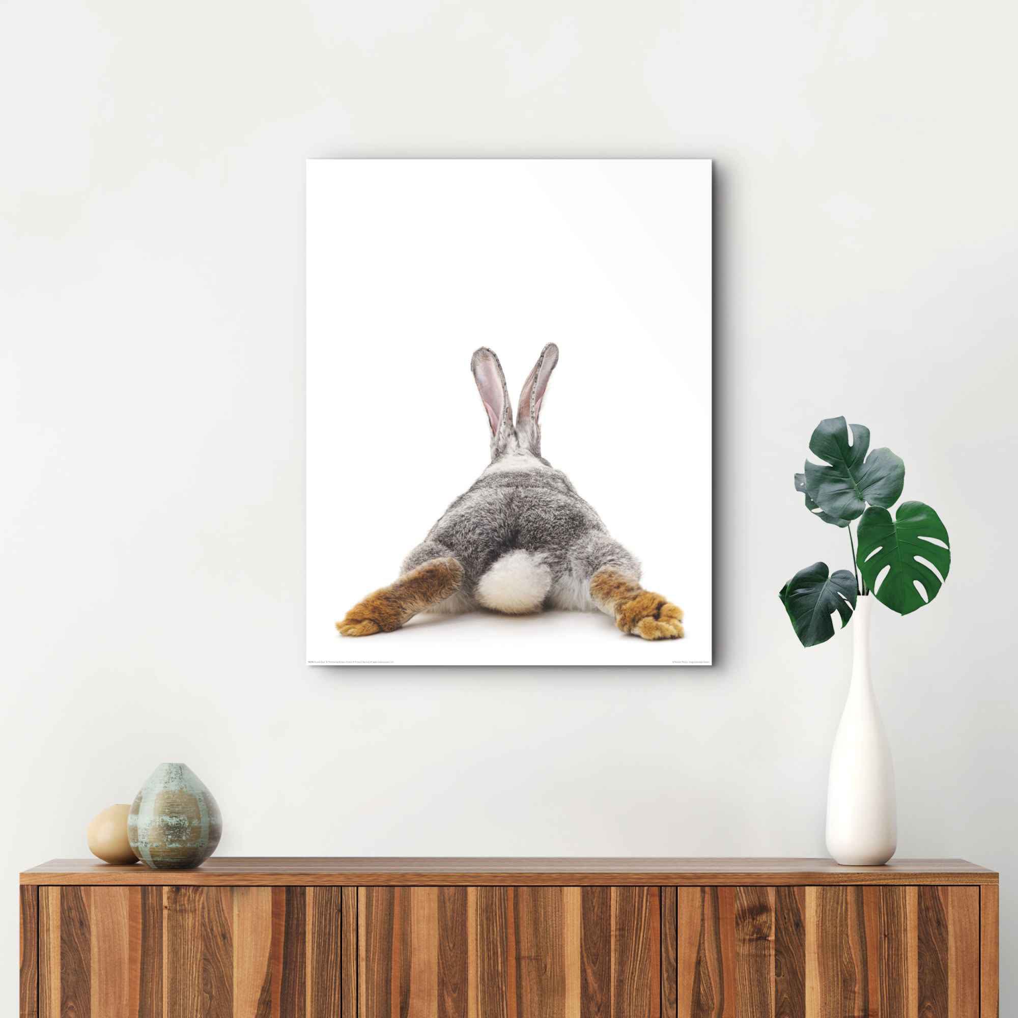 Reinders! Wandbild »Wandbild Kaninchen Rabbit - Hase - Schwanz - Relax«,  Hasen, (1 St.) kaufen | BAUR