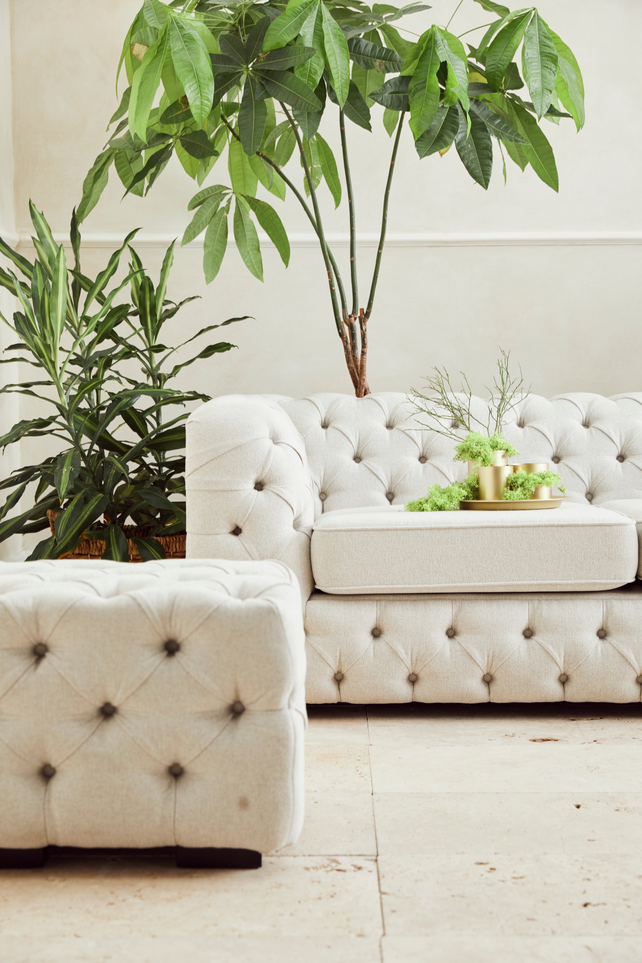 Guido Maria Kretschmer Home&Living Chesterfield-Sofa »Kalina«, mit klassischer Chesterfield-Knopfheftung