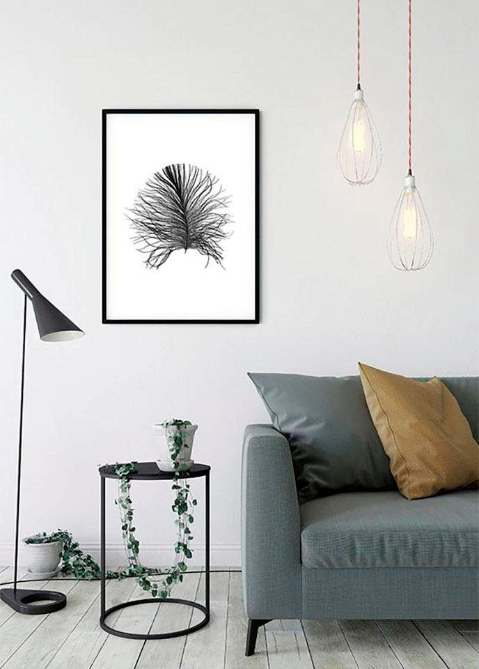 Komar Bild »Feather White«, Federn, (1 St.), Wandbild zur Dekoration - ohne Rahmen