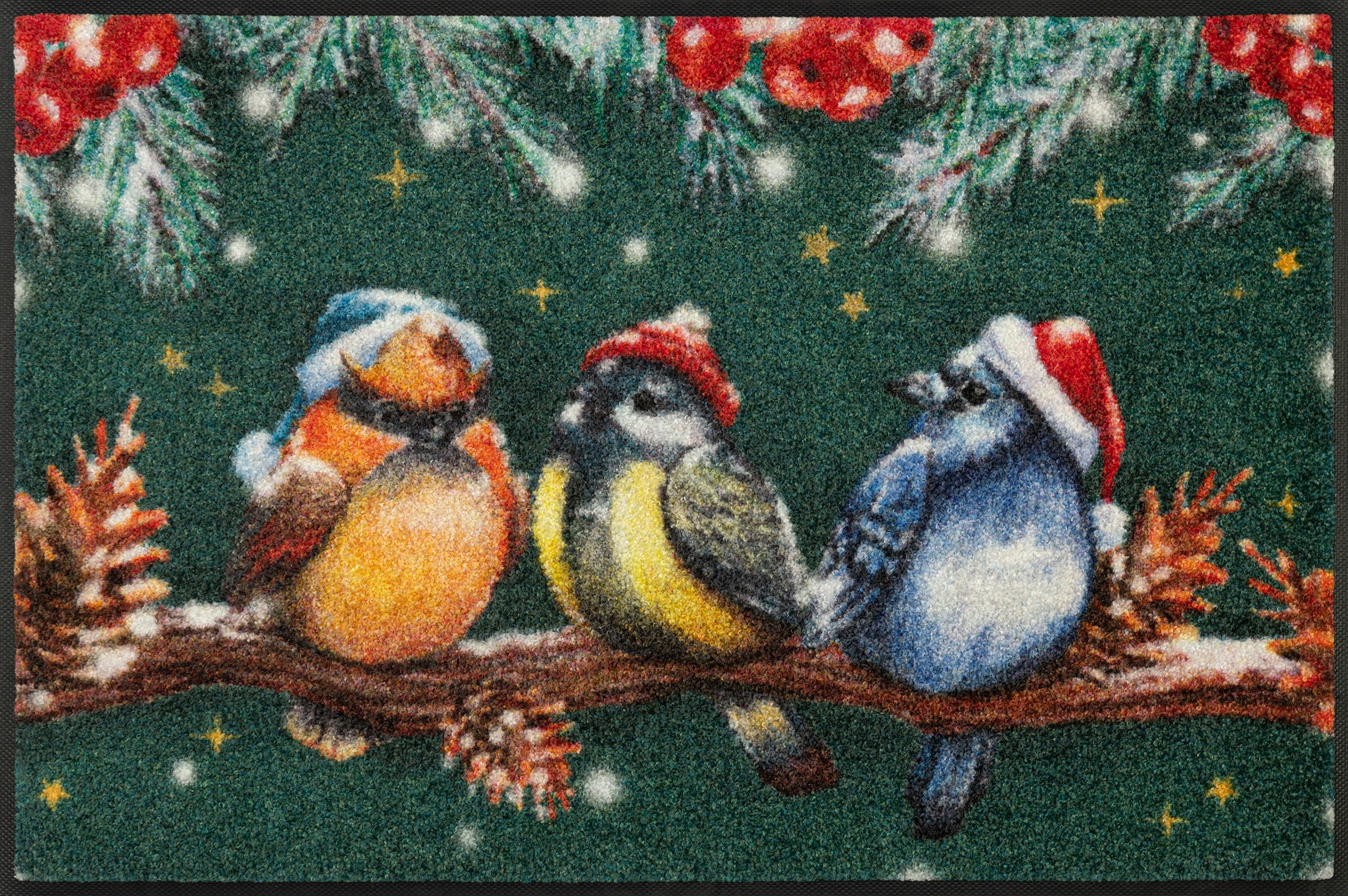 wash+dry by Kleen-Tex Fußmatte »Magic Birds«, rechteckig, 7 mm Höhe