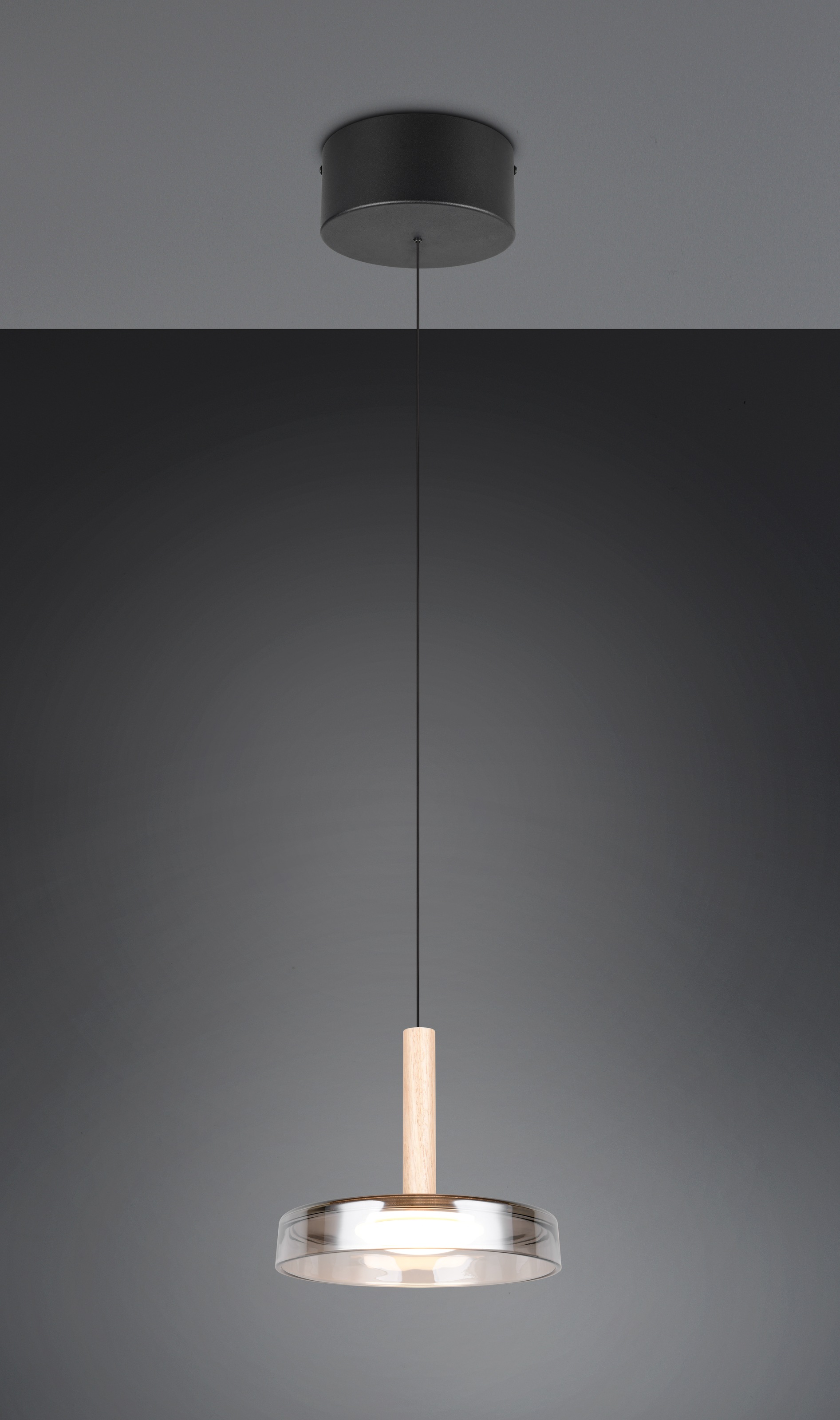 TRIO Leuchten LED Pendelleuchte »CELESTE dimmbare LED Hängelampe aus Metall Glas & Holz, 10W 1100 Lumen«, 1 flammig, Leuchtmittel LED-Board | LED fest integriert, einfach höhenverstellbar von 50-200 cm, Ø 22cm, 3-Stufen Dimmfunktion