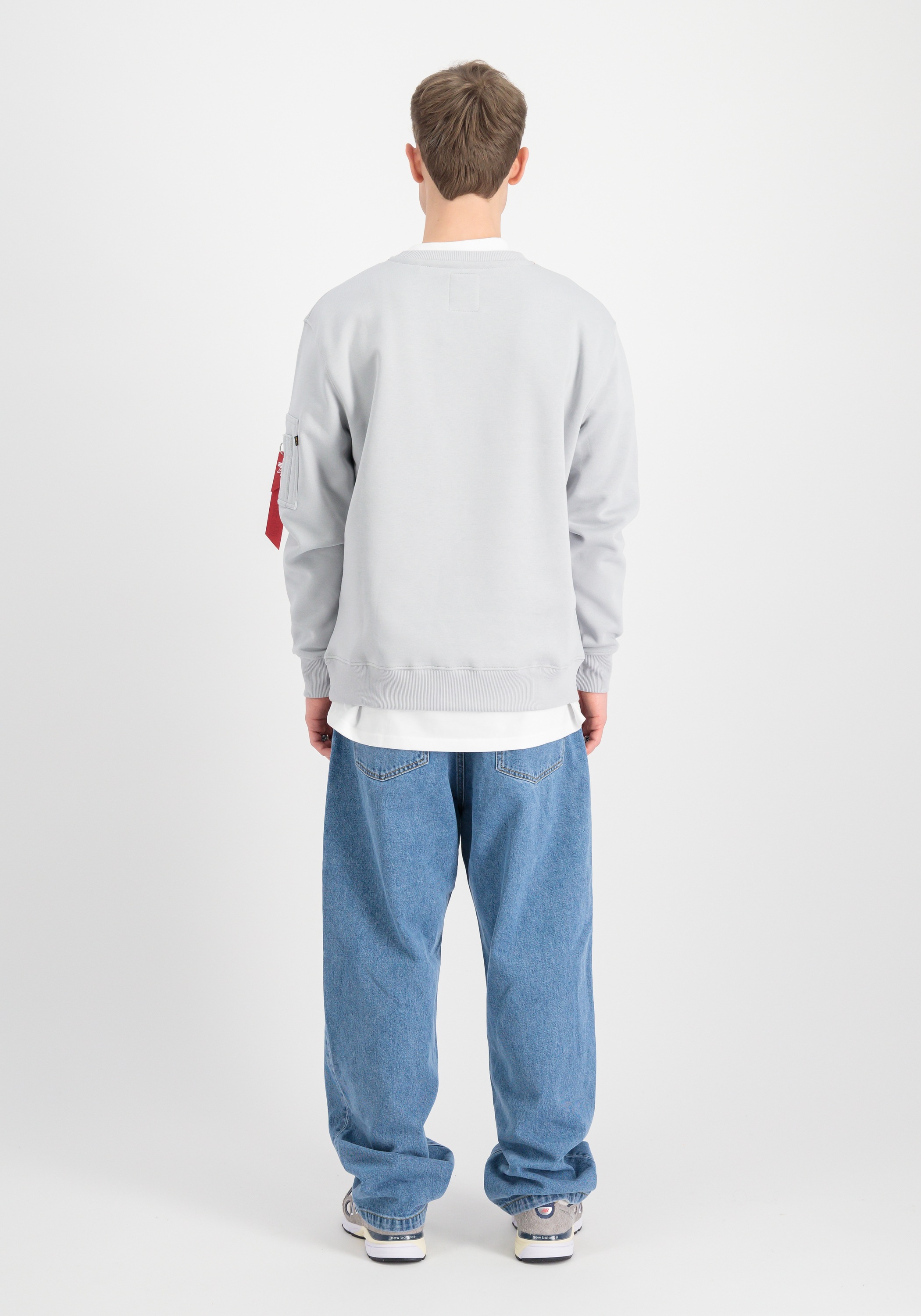 Alpha Industries Sweater »Alpha Industries Men - Sweatshirts Alpha Refl. Print Sweater«