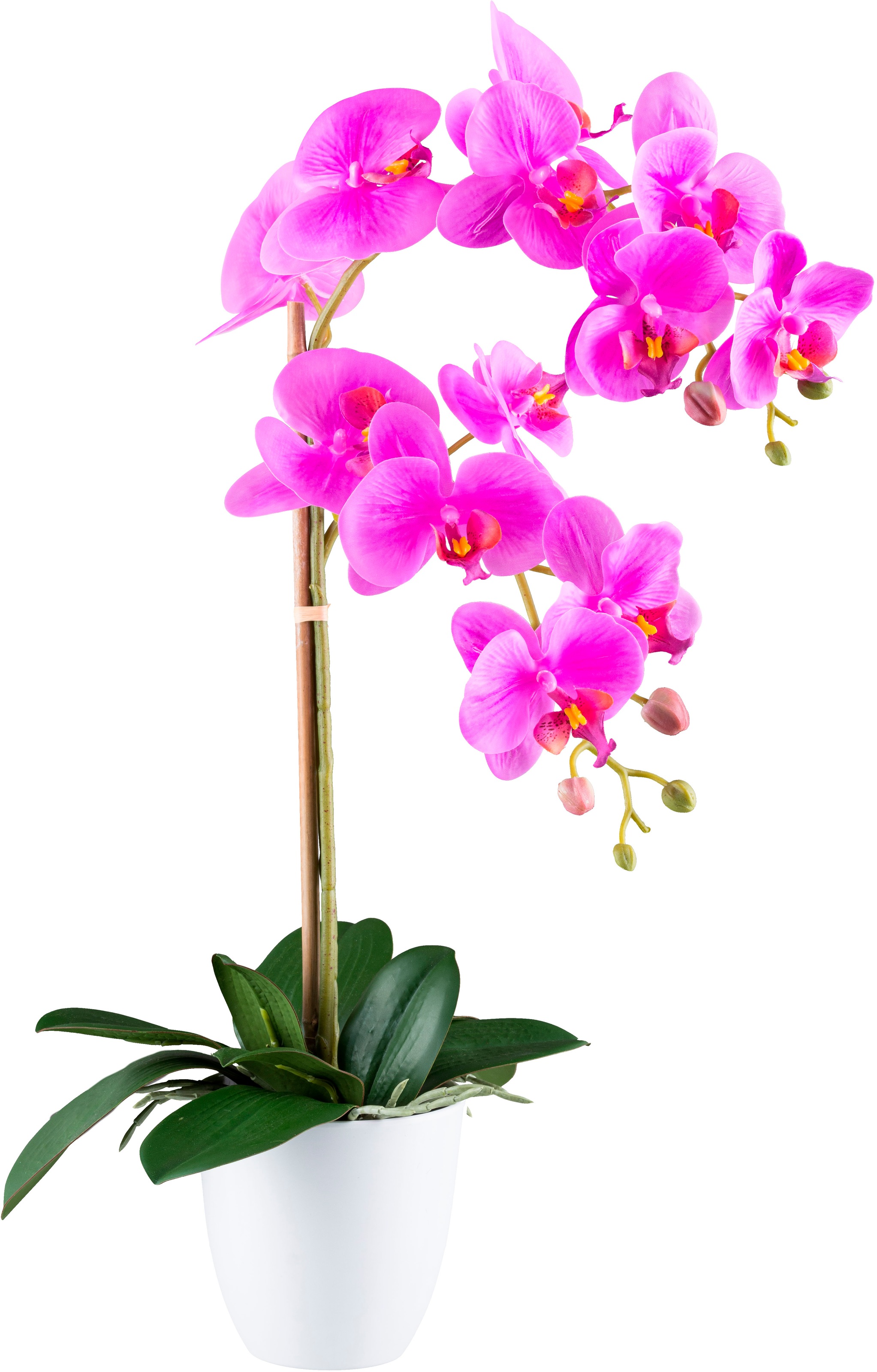 Creativ green Kunstorchidee "Orchidee Phalaenopsis", mit real-touch-Blüten günstig online kaufen