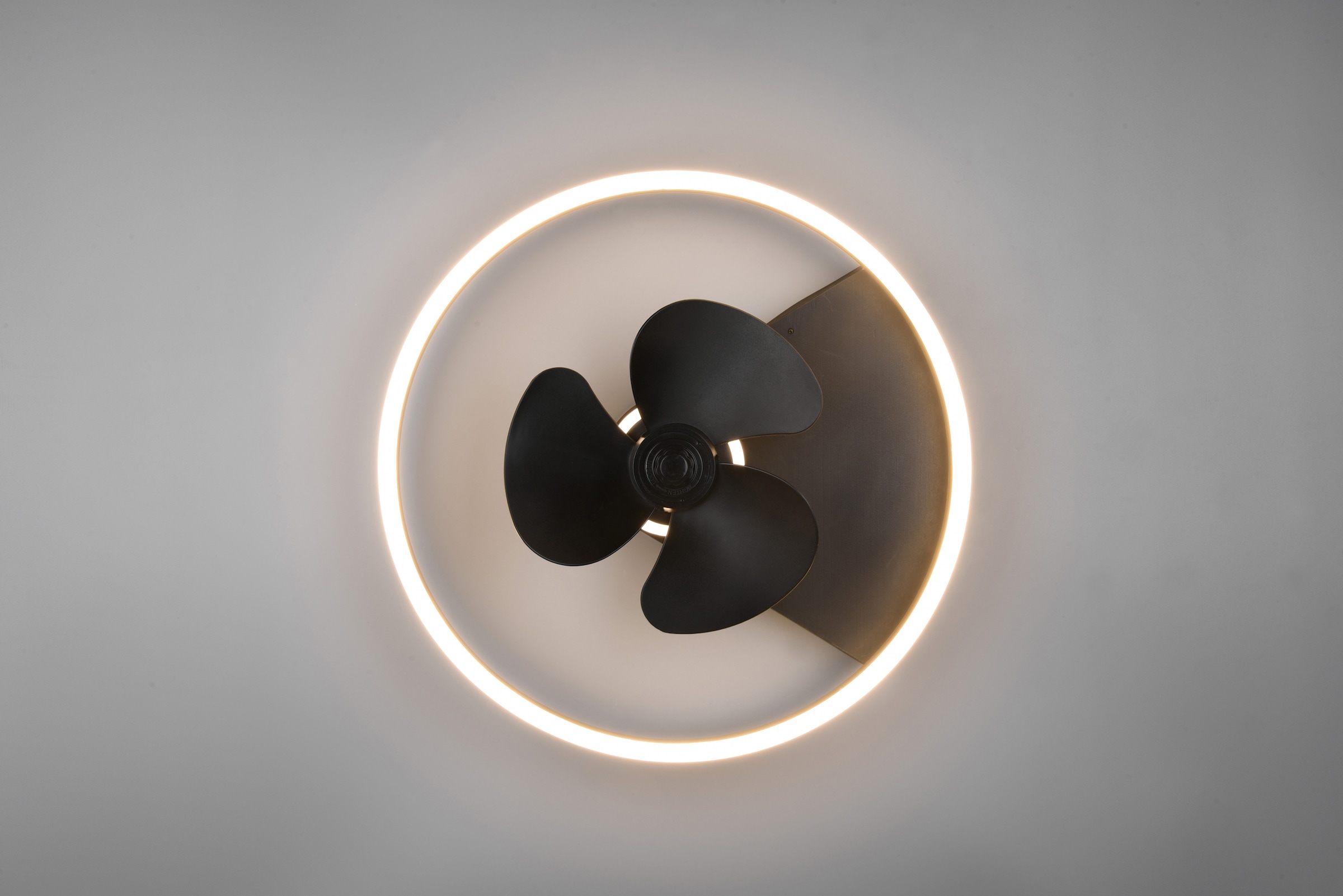TRIO Leuchten LED Deckenleuchte »Borgholm«, mit Ventilator, Fernbedienung,  integrierter Dimmer und Nachtlicht. Leuchte und Ventilator getrennt  schaltbar | BAUR