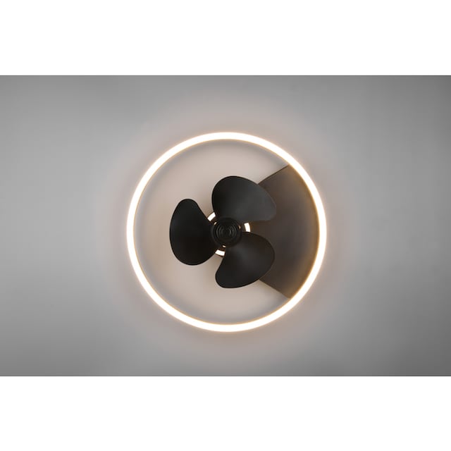 TRIO »Borgholm«, Deckenleuchte und Nachtlicht. mit Ventilator Dimmer getrennt | schaltbar Leuchten und LED integrierter BAUR Fernbedienung, Ventilator, Leuchte