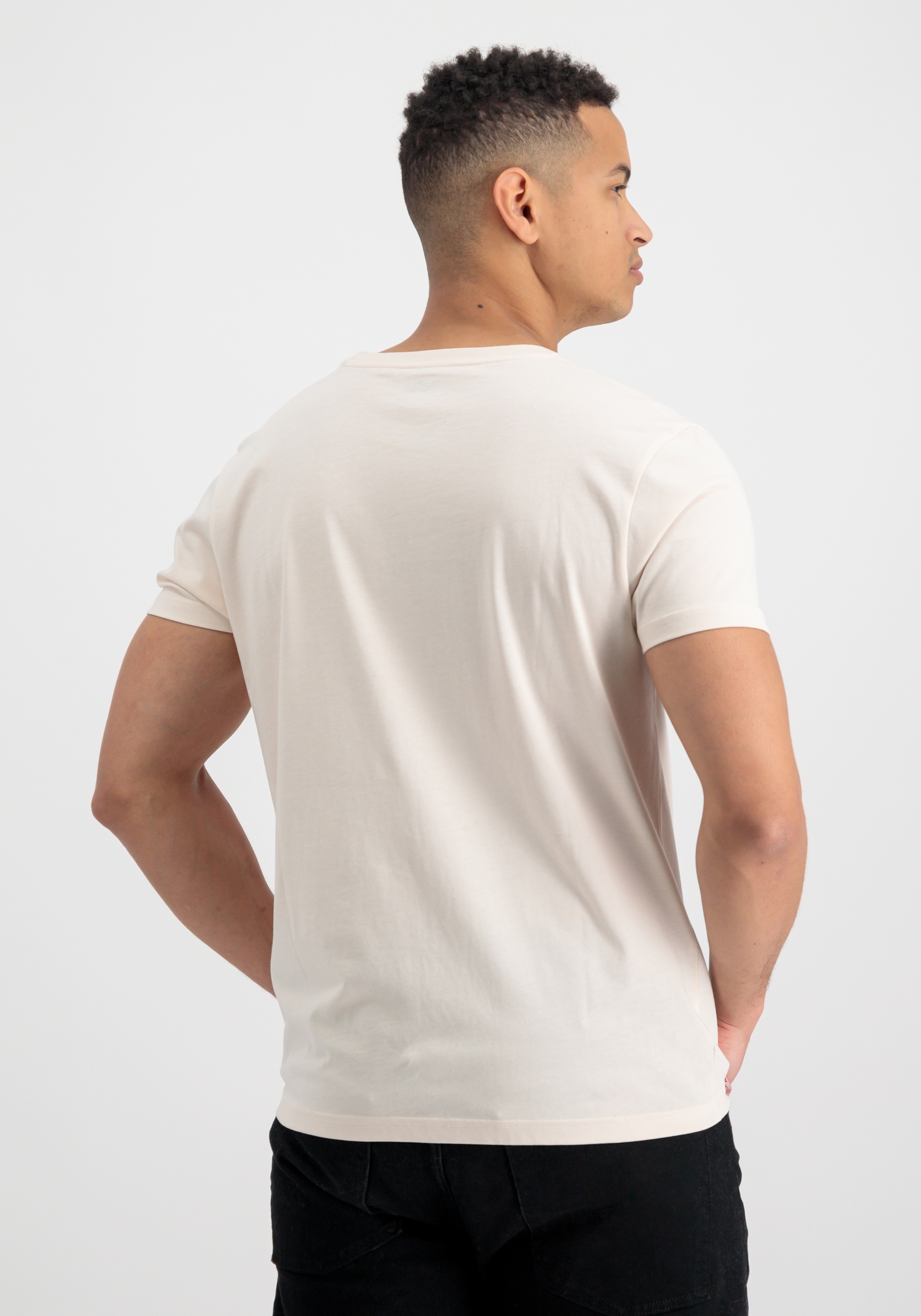 Alpha Industries T-Shirt "Basic T-Shirt Embroidery" günstig online kaufen