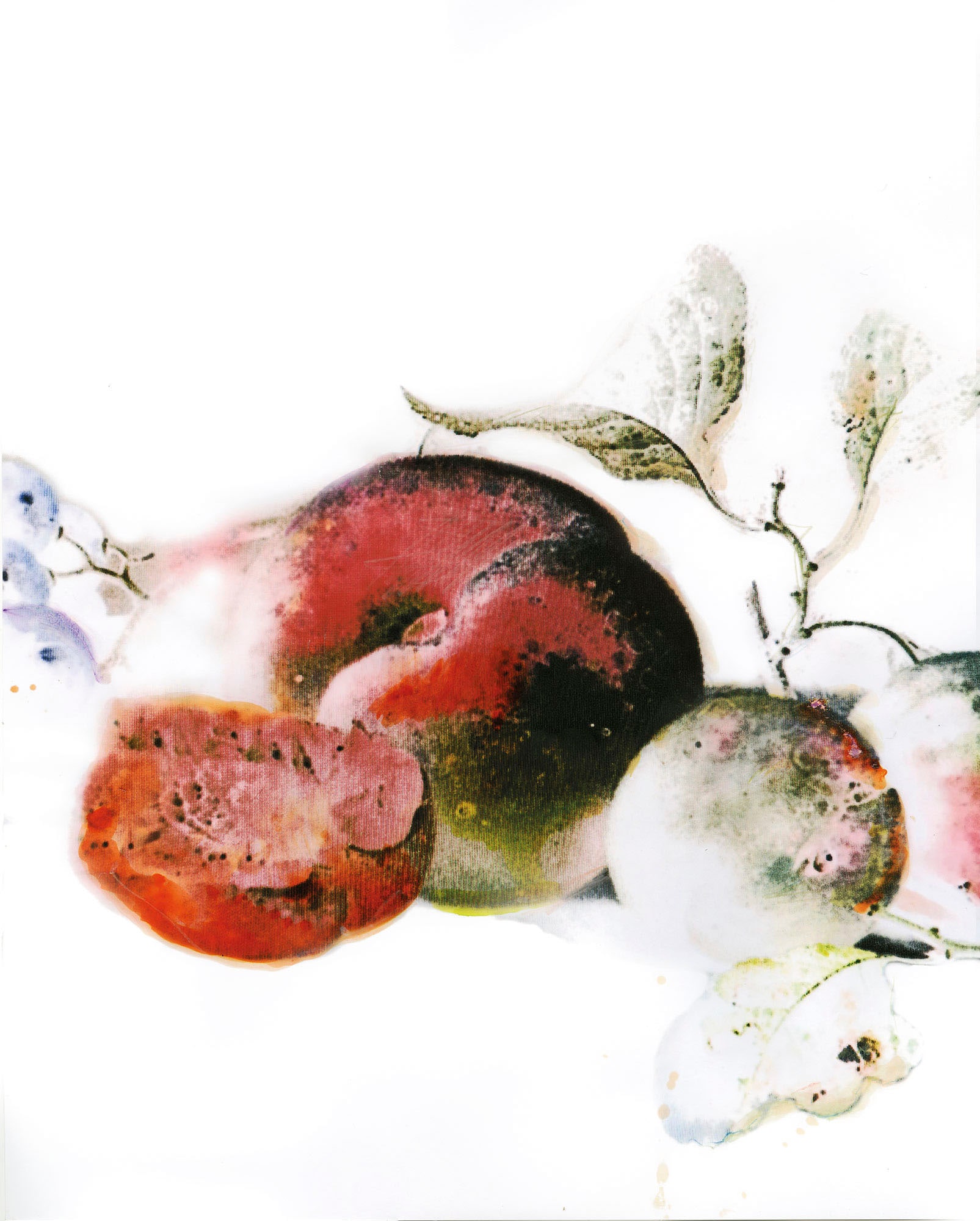 Komar Bild "Dessert Fruité" Natur 1 Stk. tlg. Wandbild zur Dekoration - ohn günstig online kaufen