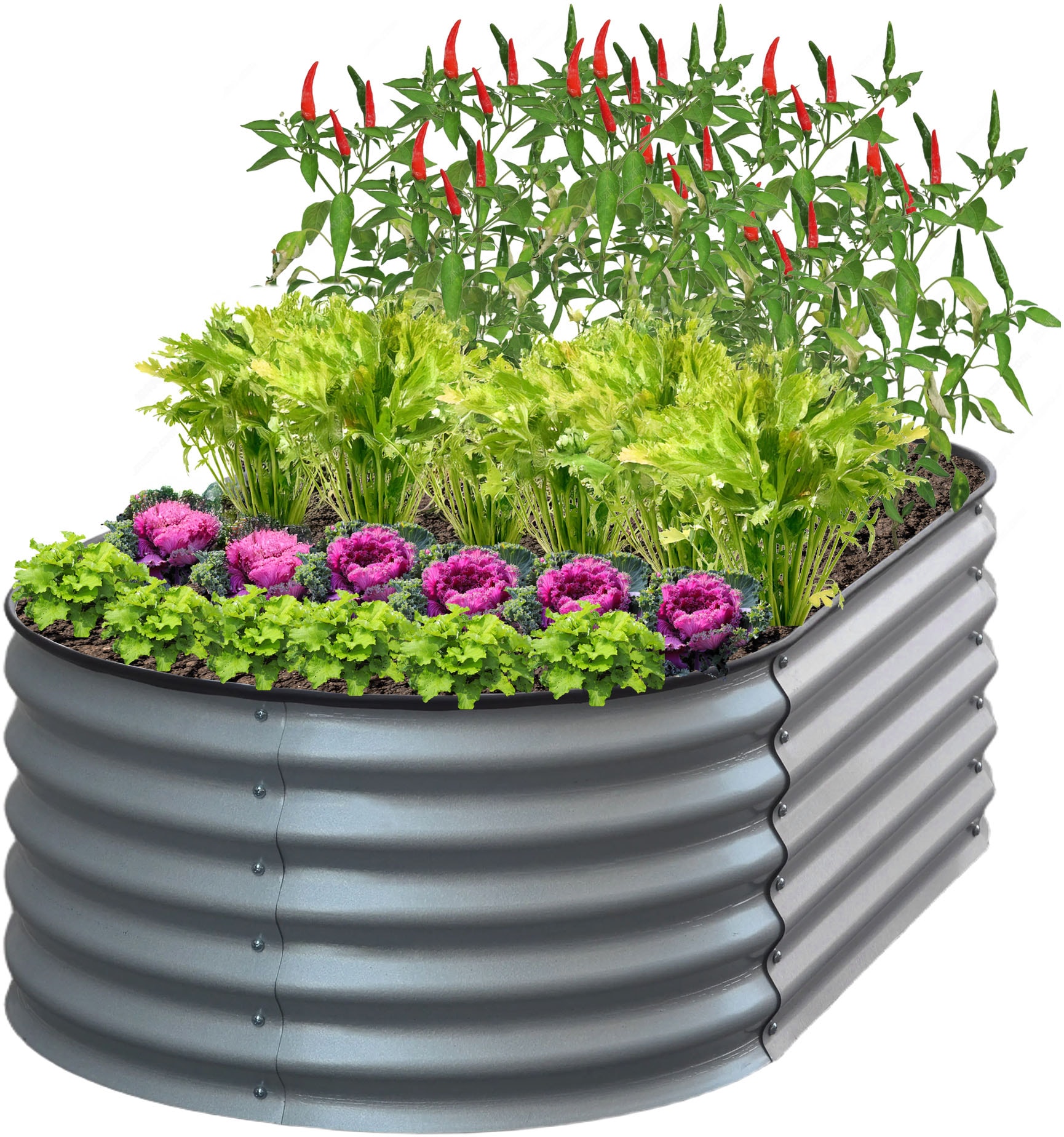 KONIFERA Hochbeet ""Flower" aus verzinktem Stahl" günstig online kaufen