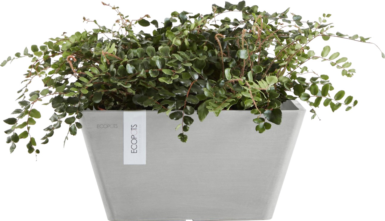 ECOPOTS Blumentopf »BERLIN White Grey«, BxTxH: 25x25x12,8 cm
