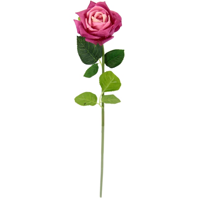 I.GE.A. Kunstblume »Rose«, 5er Set künstliche Rosen, Seidenrosen, Bouquet,  Kunstzweig, Kunstrose kaufen | BAUR