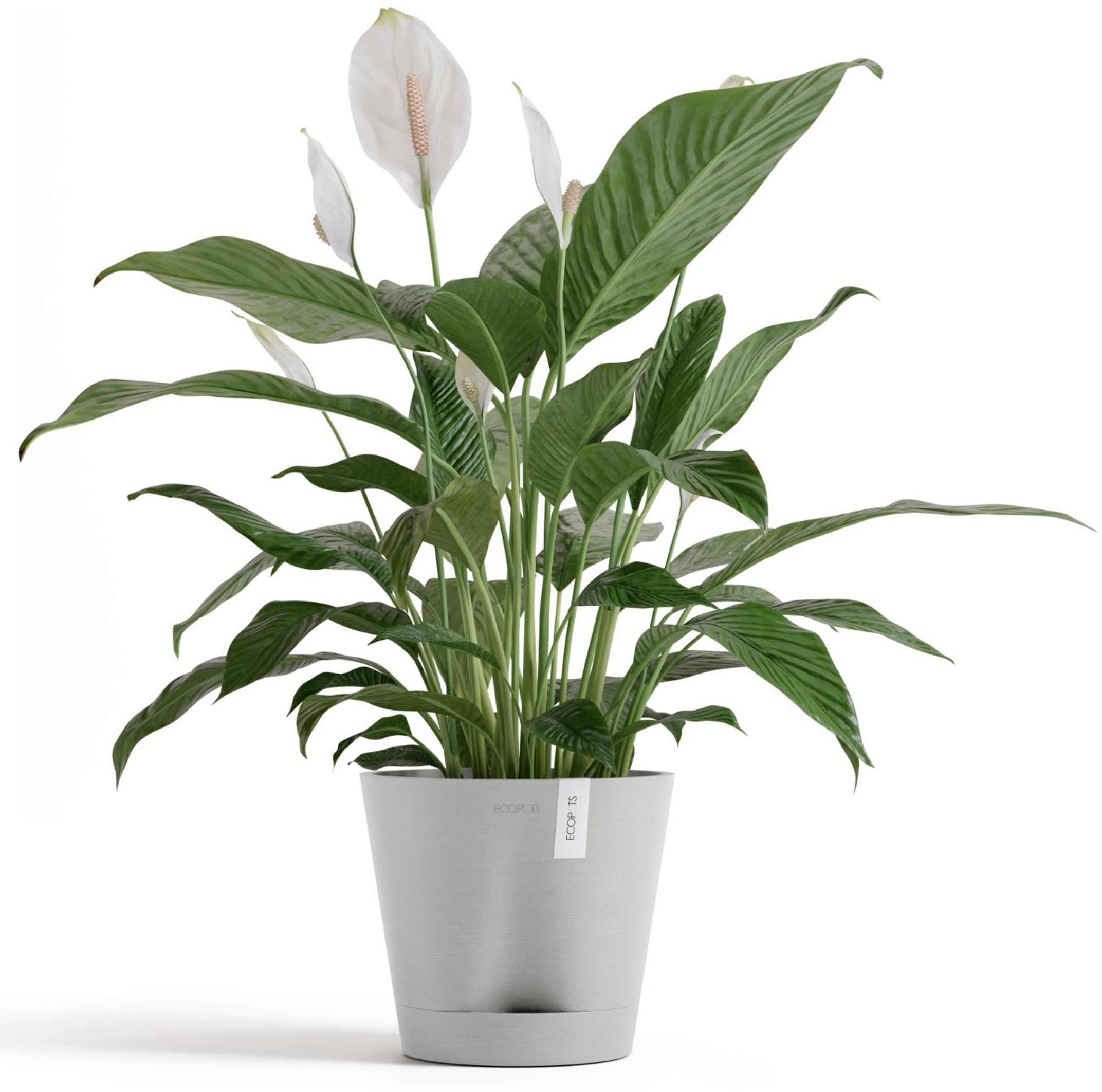 ECOPOTS Blumentopf »Venice 2 20 Weißgrau«, für den Innenbereich