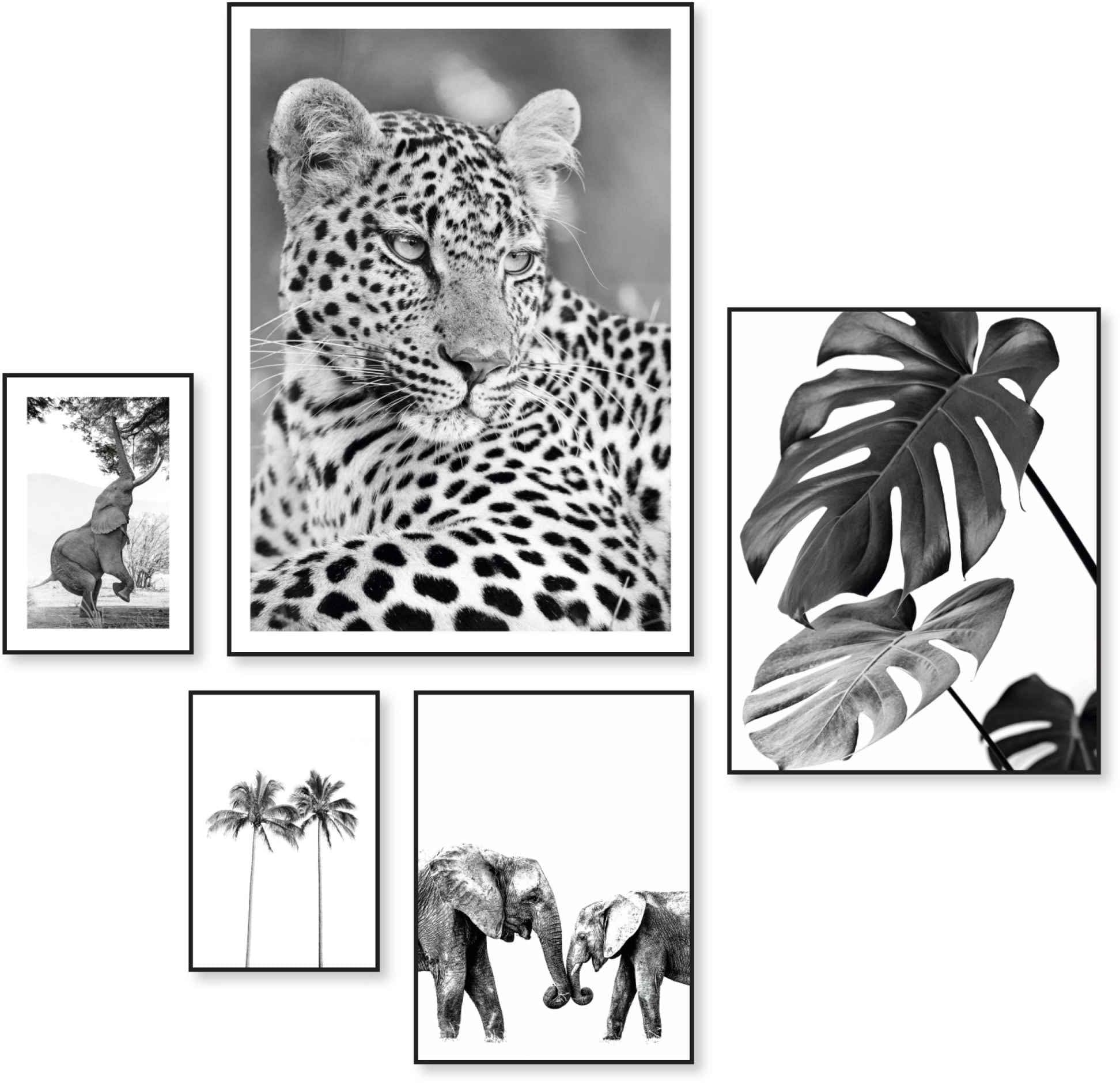 Afrika Monstera«, - Wandbild Botanisch - Reinders! »Wildtiere BAUR | - bestellen Natur (5 St.)