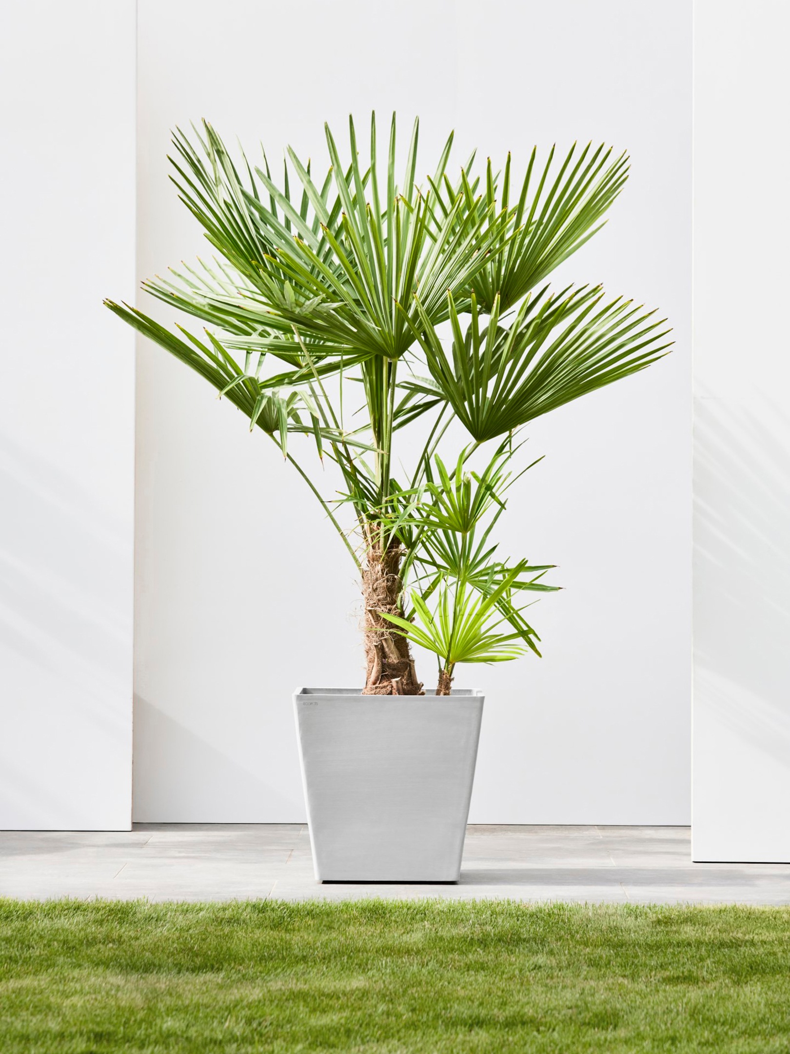 ECOPOTS Blumentopf »Rotterdam mit Rollen 50 Weißgrau«, für innen und außen: frostsicher, bruchsicher und lichtbeständig