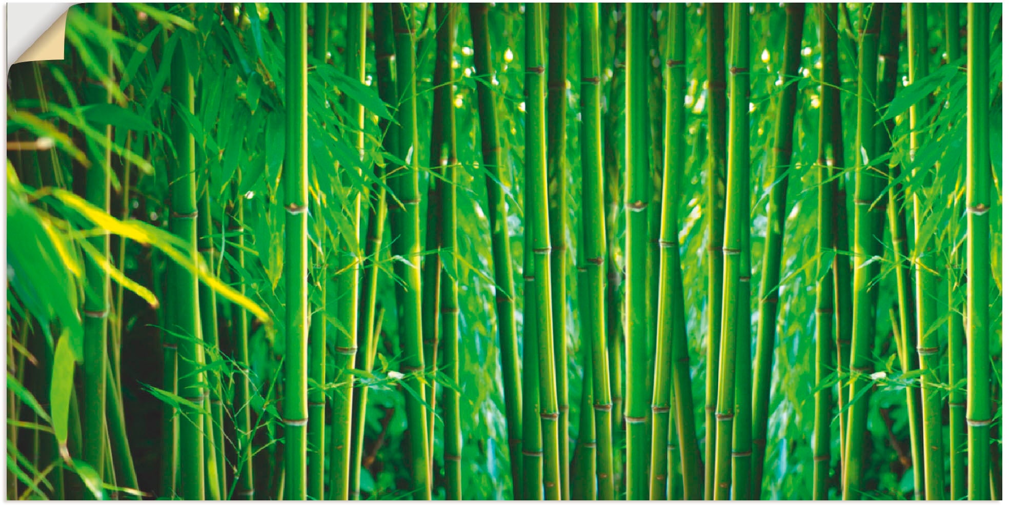 Wandfolie »Bambus II«, Gräser, (1 St.), selbstklebend