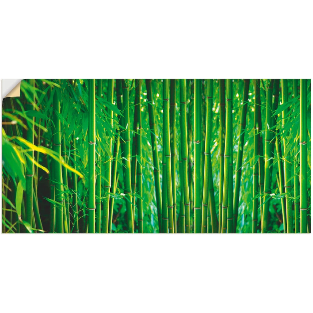 Artland Wandfolie »Bambus II«, Gräser, (1 St.)