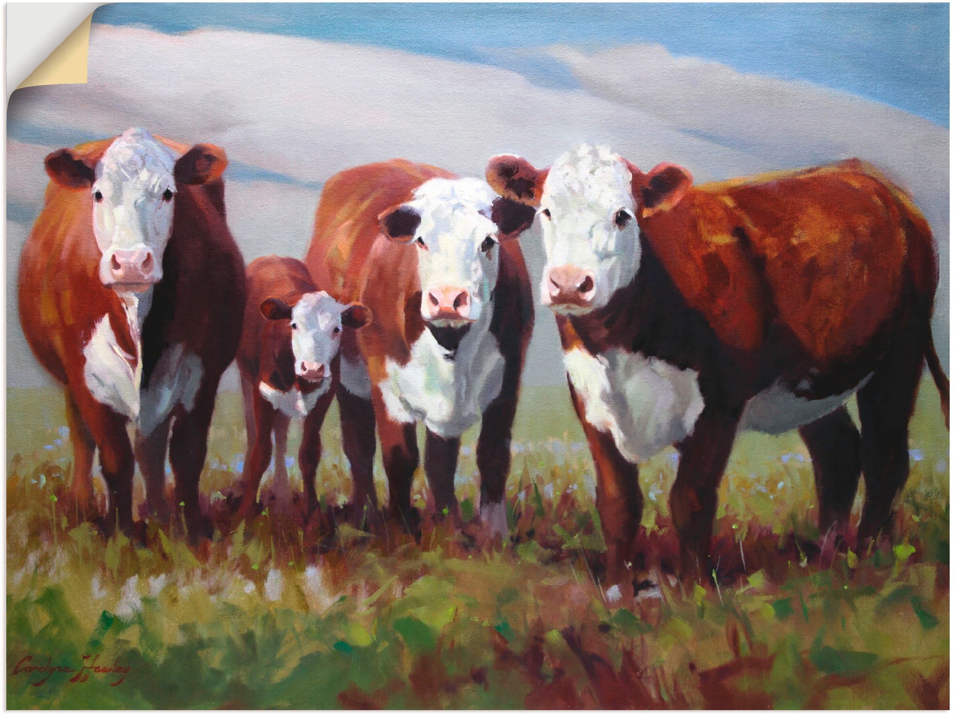 Artland Wandbild »Zuhause Leinwandbild, versch. der Wandaufkleber Haustiere, Poster (1 BAUR in kaufen Kühe«, St.), als Größen | oder Alubild