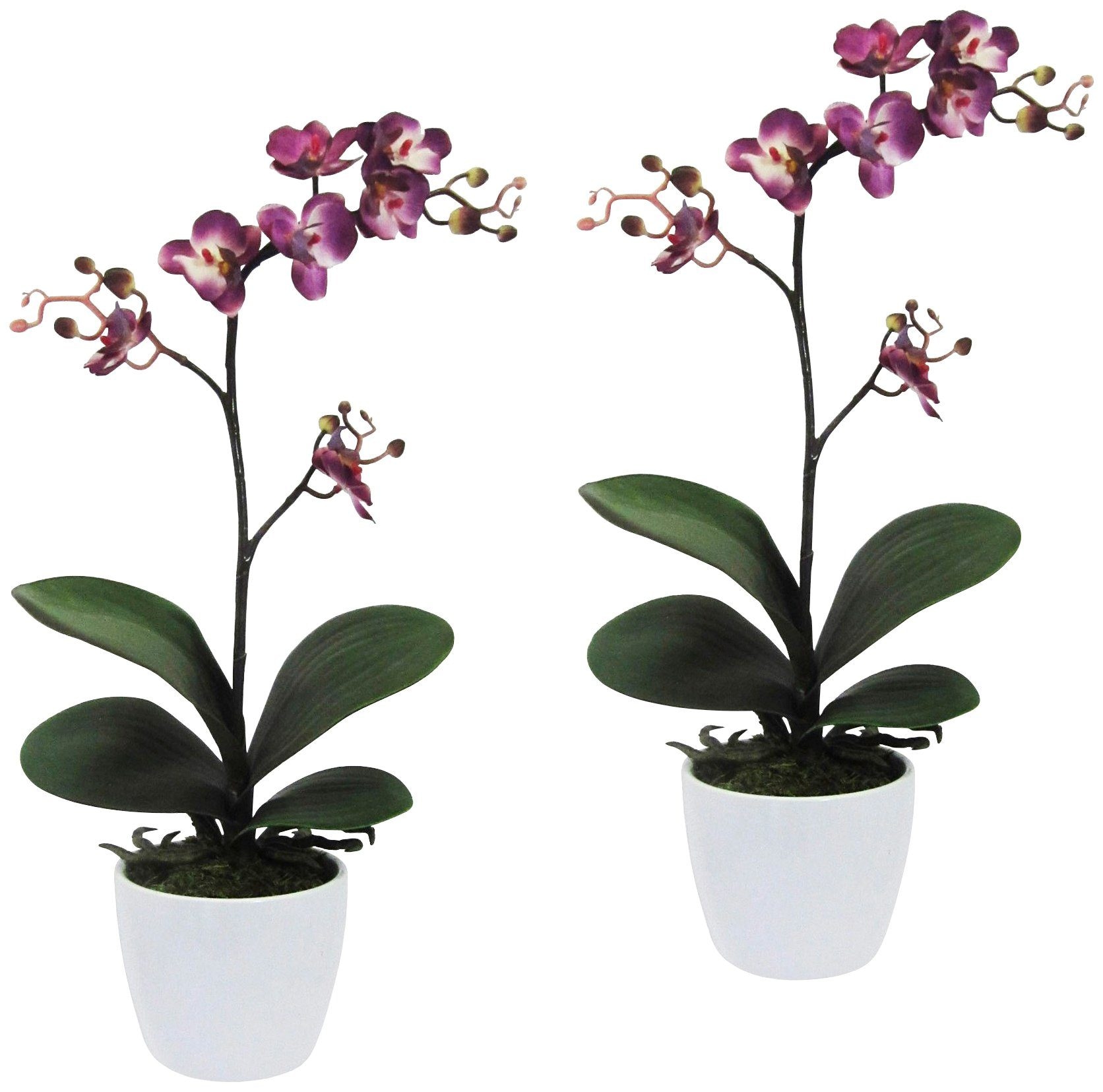 Creativ green Kunstpflanze »Orchidee Phalaenopsis«, im Keramiktopf