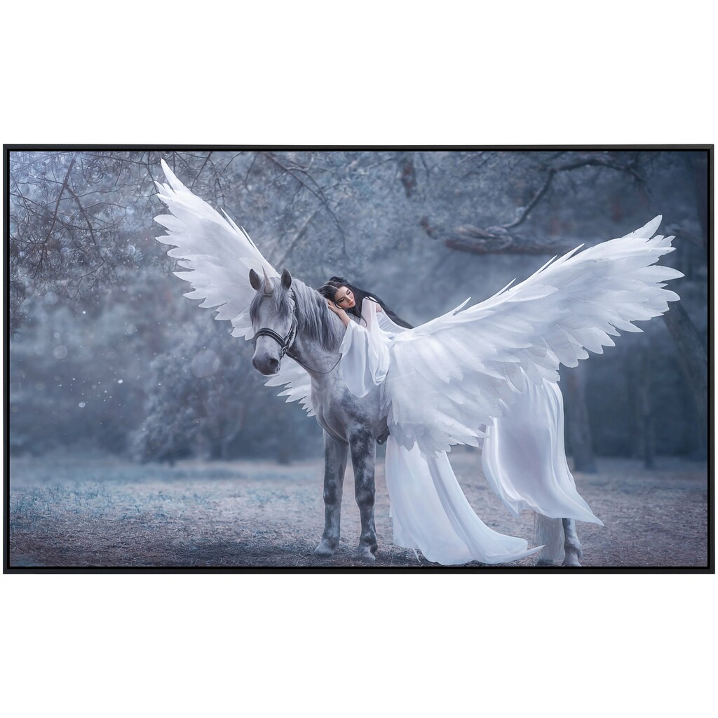 Papermoon Infrarotheizung »Frau auf Pegasus«